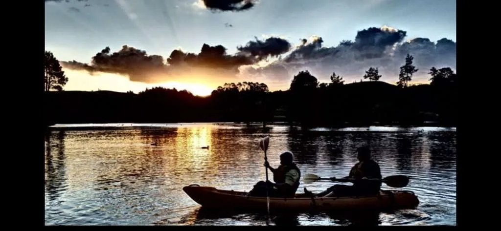 TAURANGA, NEW ZEALAND - GLOW WORMS