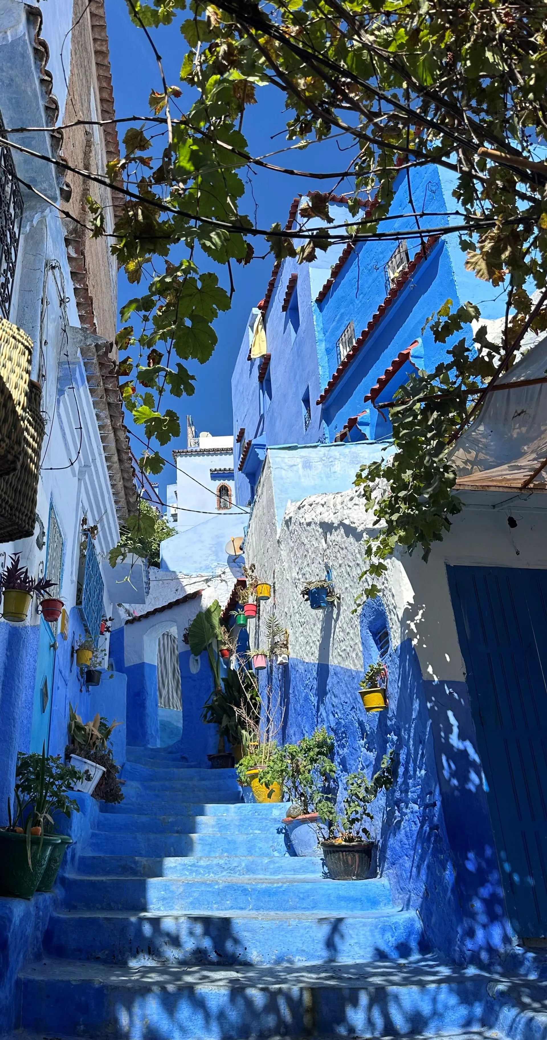 BLUE CITY, CHEFCHAOUEN, MOROCCO