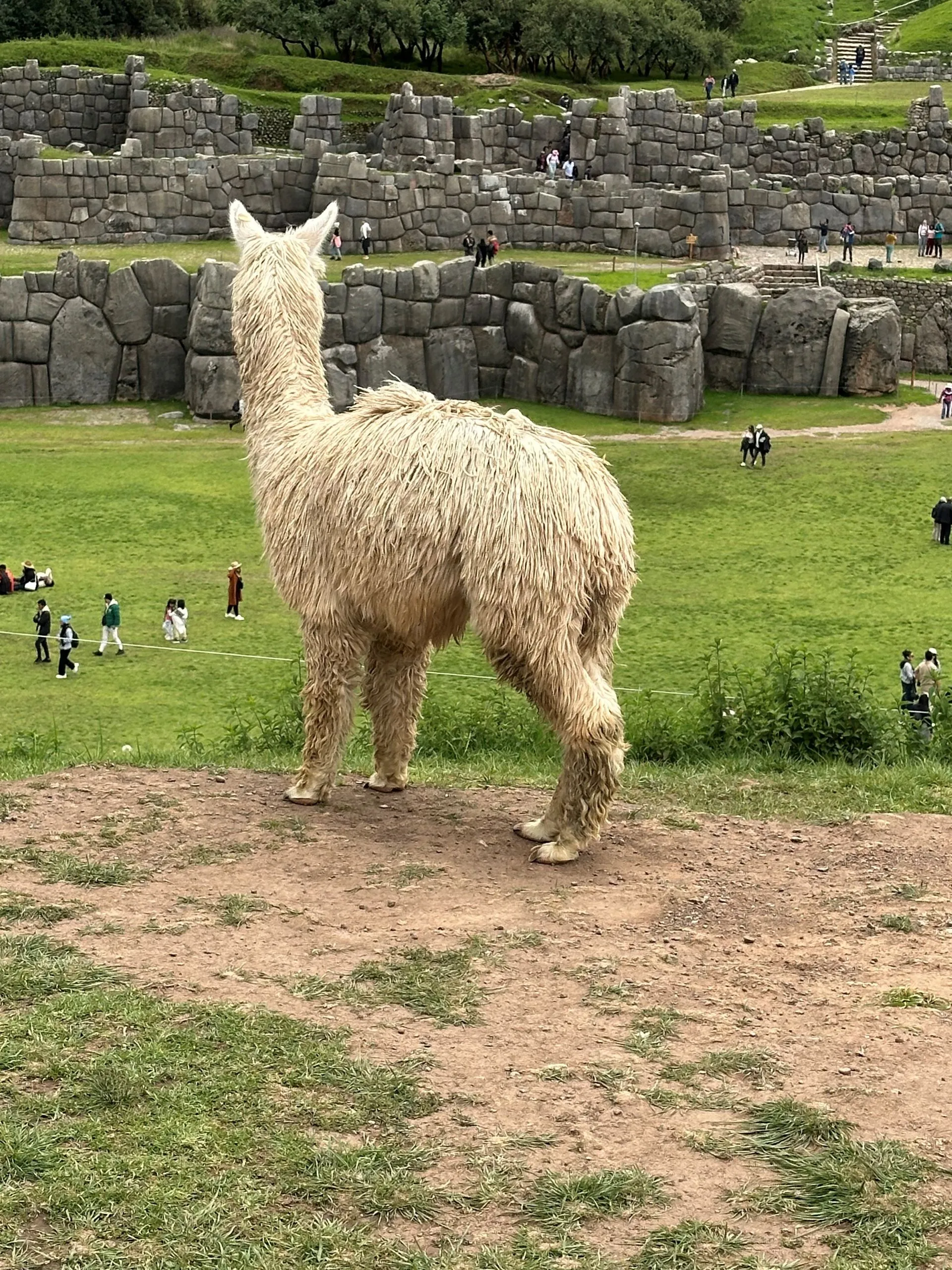 CUSCO, PERU - day 2