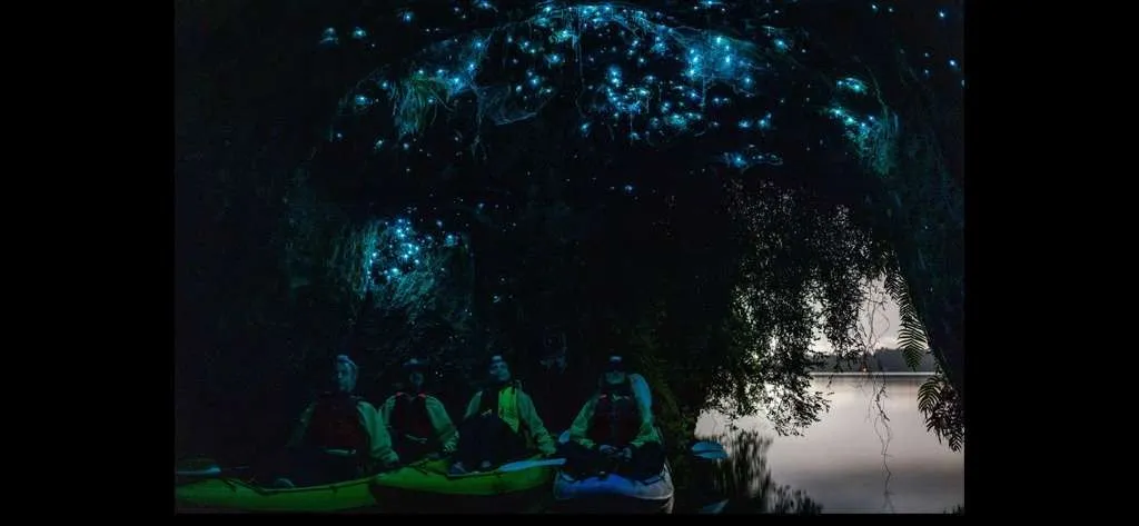 TAURANGA, NEW ZEALAND - GLOW WORMS