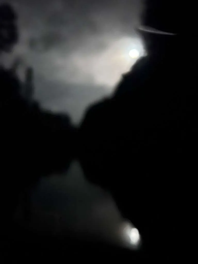 TAURANGA, NEW ZEALAND - GLOW WORMS