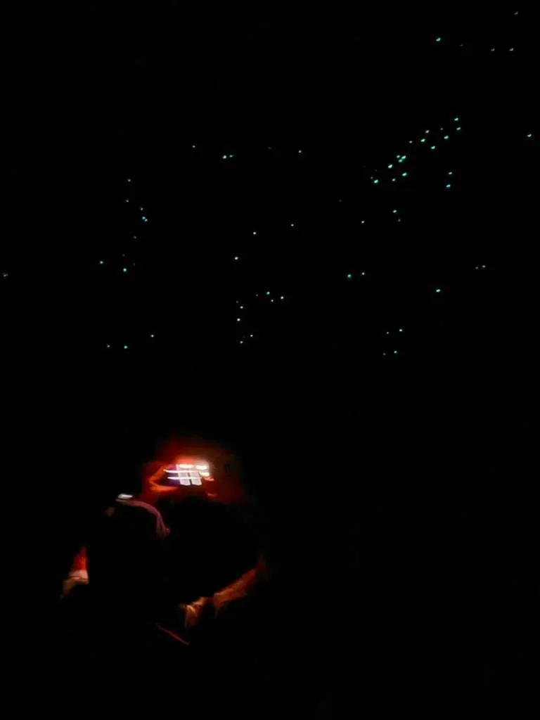 TAURANGA, NEW ZEALAND - GLOW WORMS