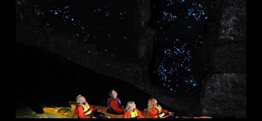 TAURANGA, NEW ZEALAND - GLOW WORMS