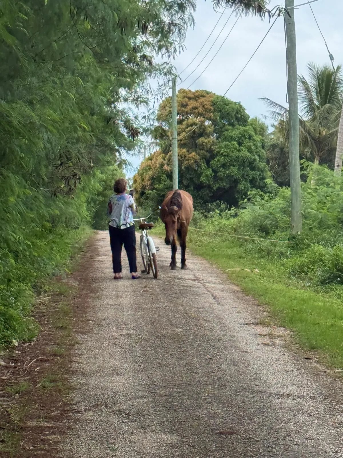 HA'APAI , TONGA - MATAFONUA RESORT