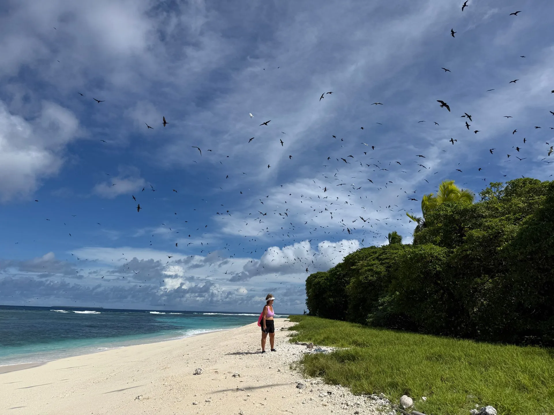 HA'APAI , TONGA - MATAFONUA RESORT