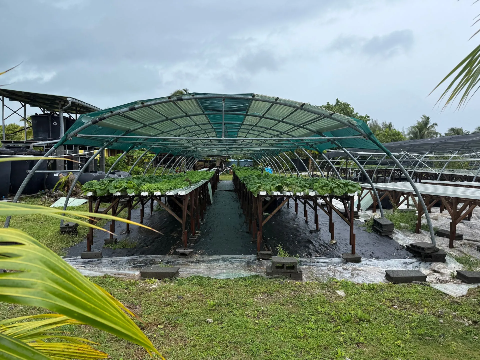 BORA BORA, FRENCH POLYNESIA - UNDER WATER