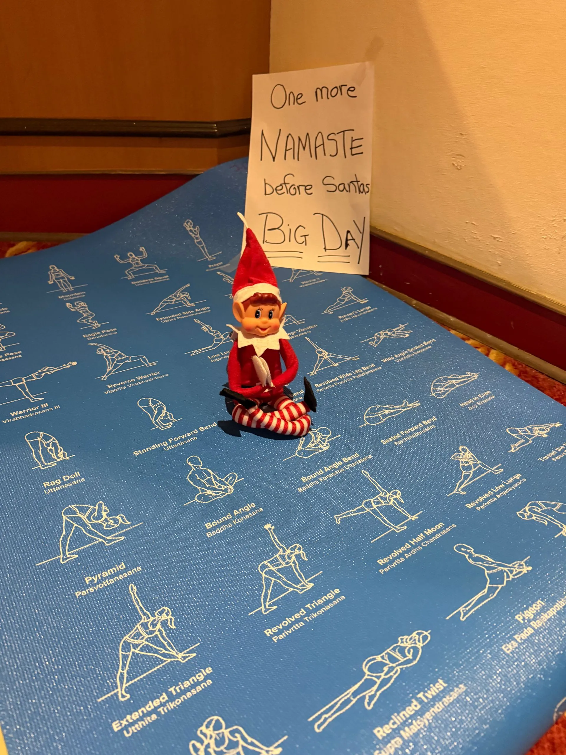 HOLIDAY FUN all over the South Pacific