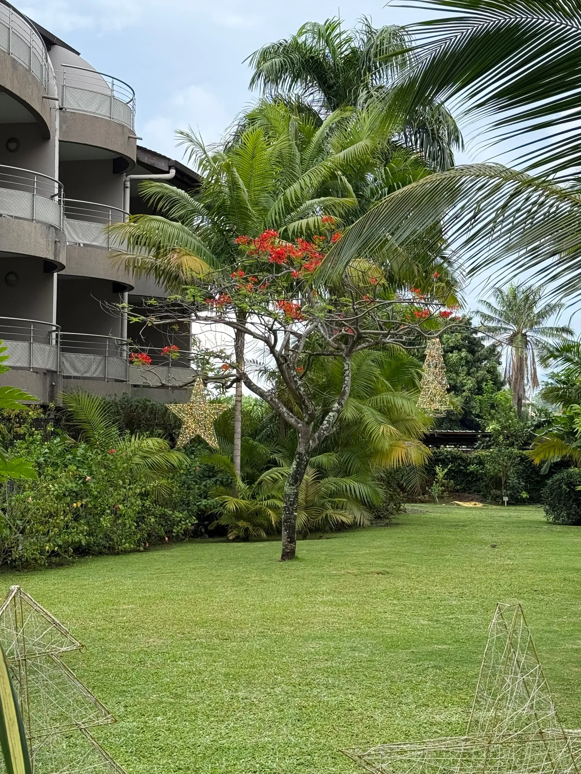 PAPEETE,  FRENCH POLYNESIA