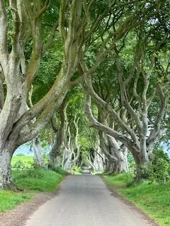 PAPEETE,  FRENCH POLYNESIA