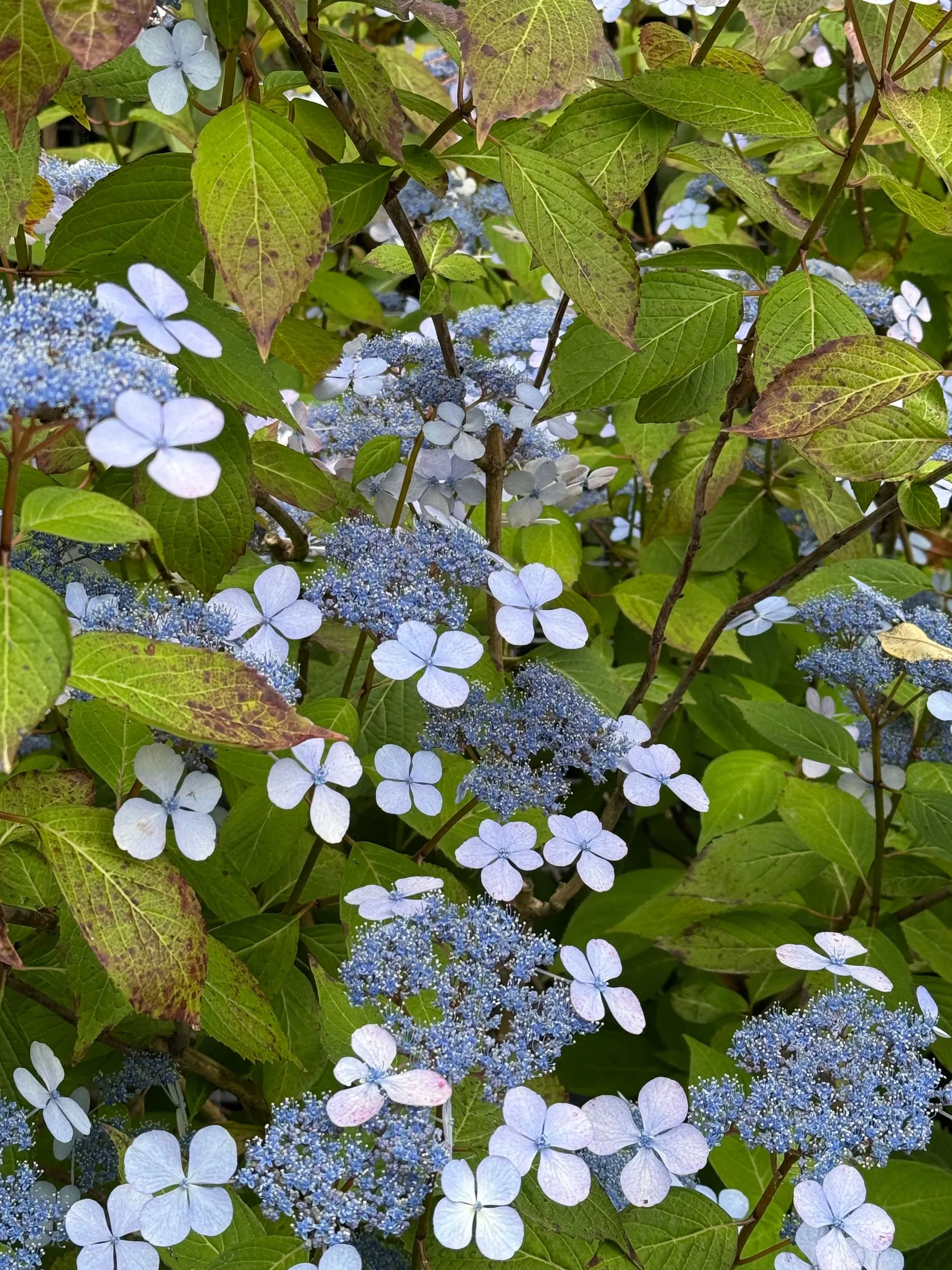 FAKARAVA, FRENCH POLYNESIA