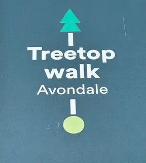 Treetop Walk and slide