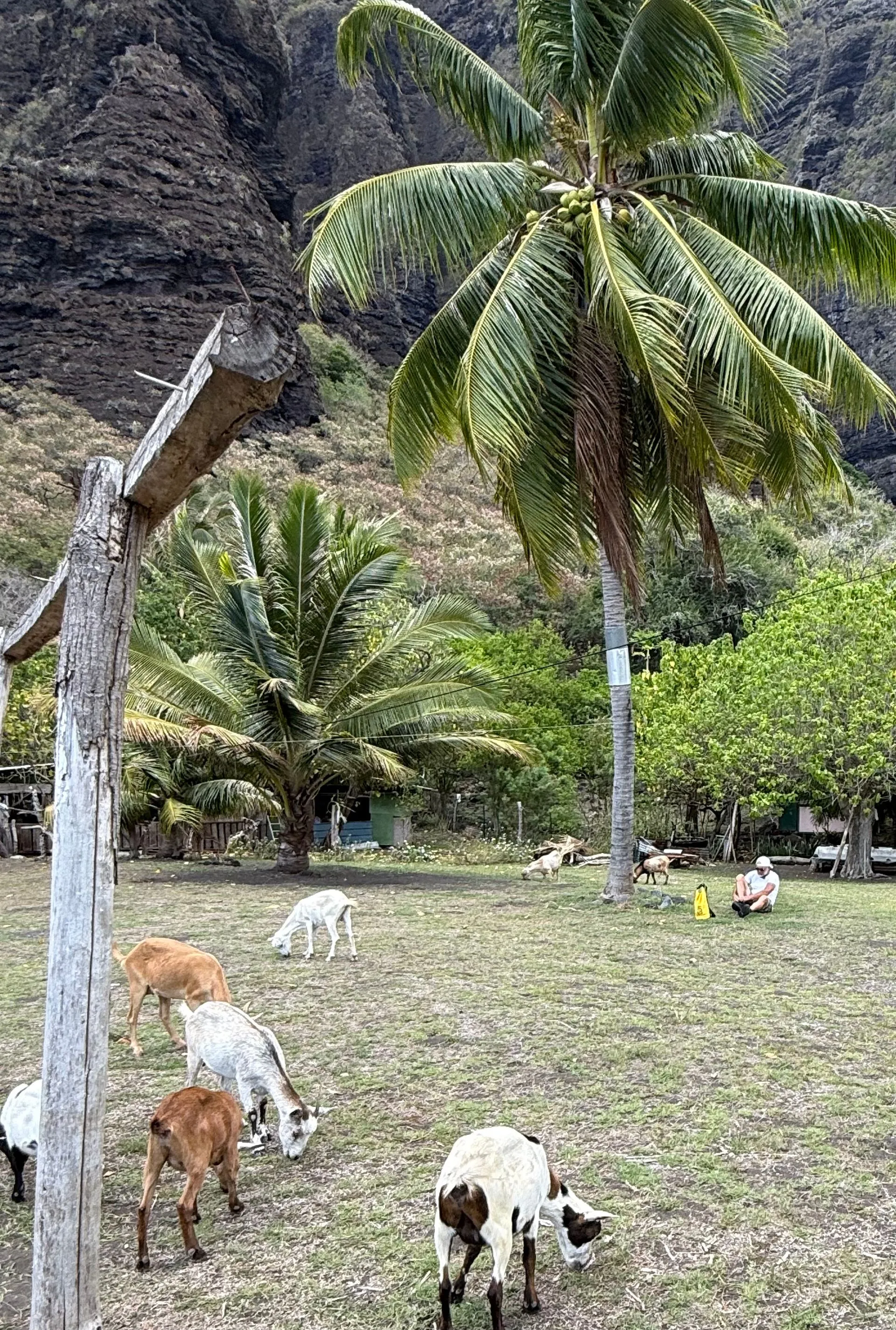 HAKAUI VALLEY, NUKU HIVA, FRENCH POLYNESIA