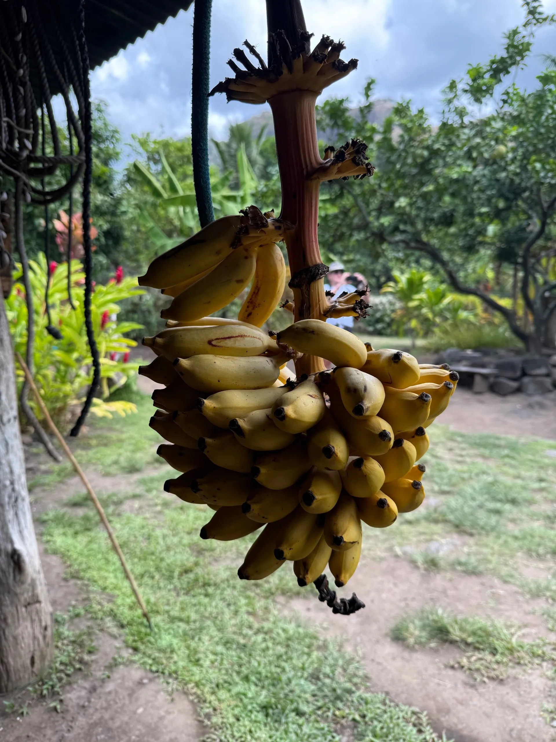 HAKAUI VALLEY, NUKU HIVA, FRENCH POLYNESIA