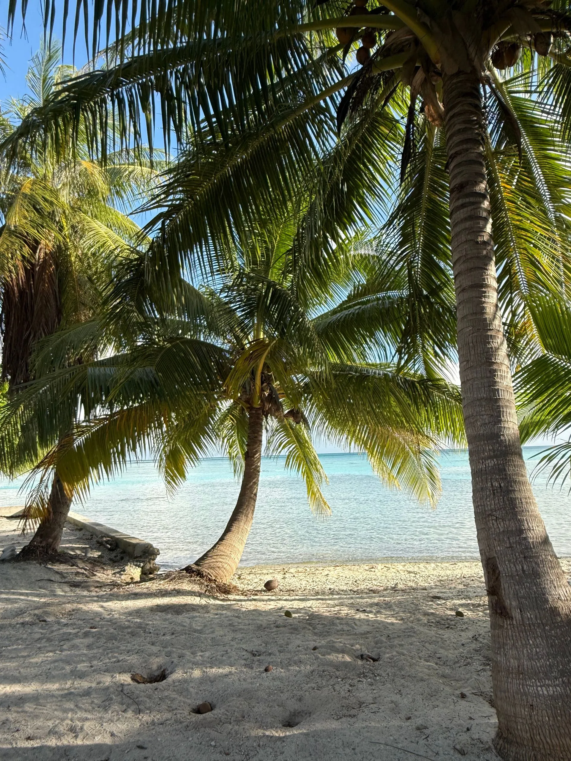 RANGIROA, FRENCH POLYNESIA