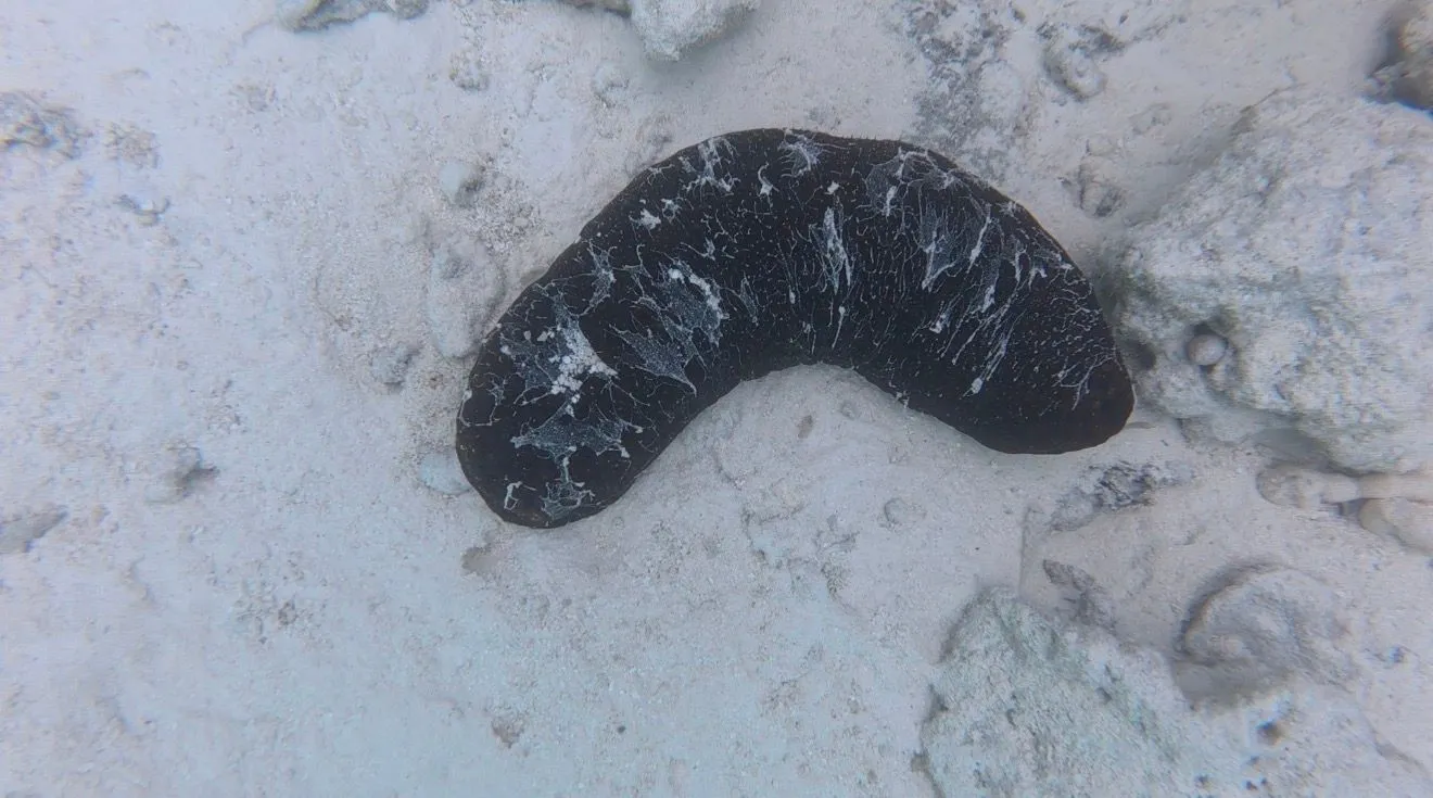 RANGIROA, FRENCH POLYNESIA