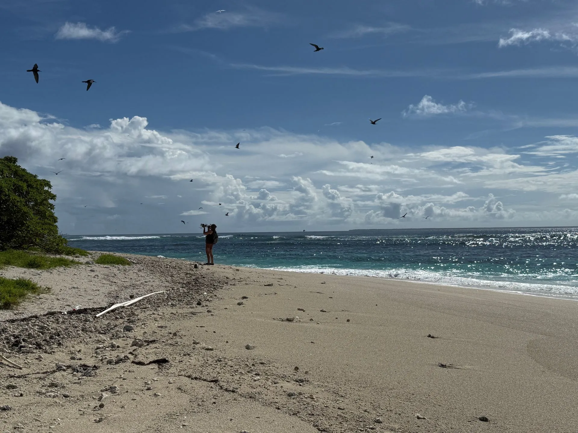 HA'APAI , TONGA - MATAFONUA RESORT
