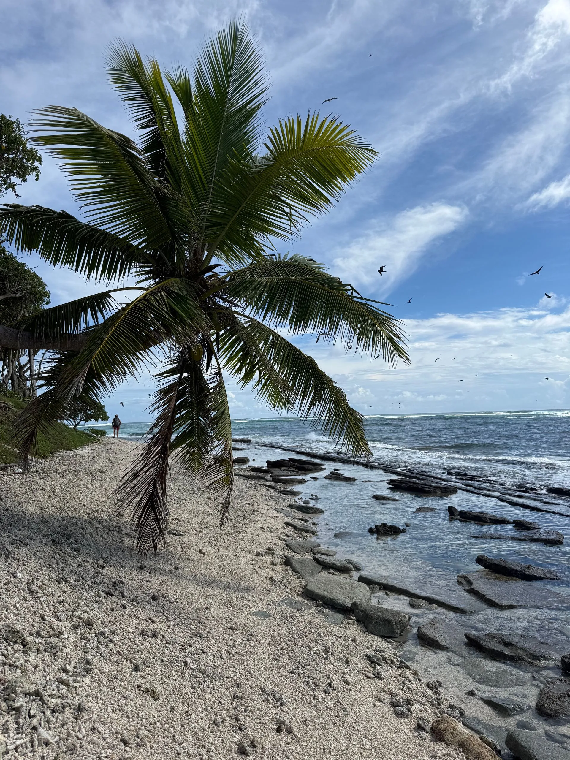 HA'APAI , TONGA - MATAFONUA RESORT