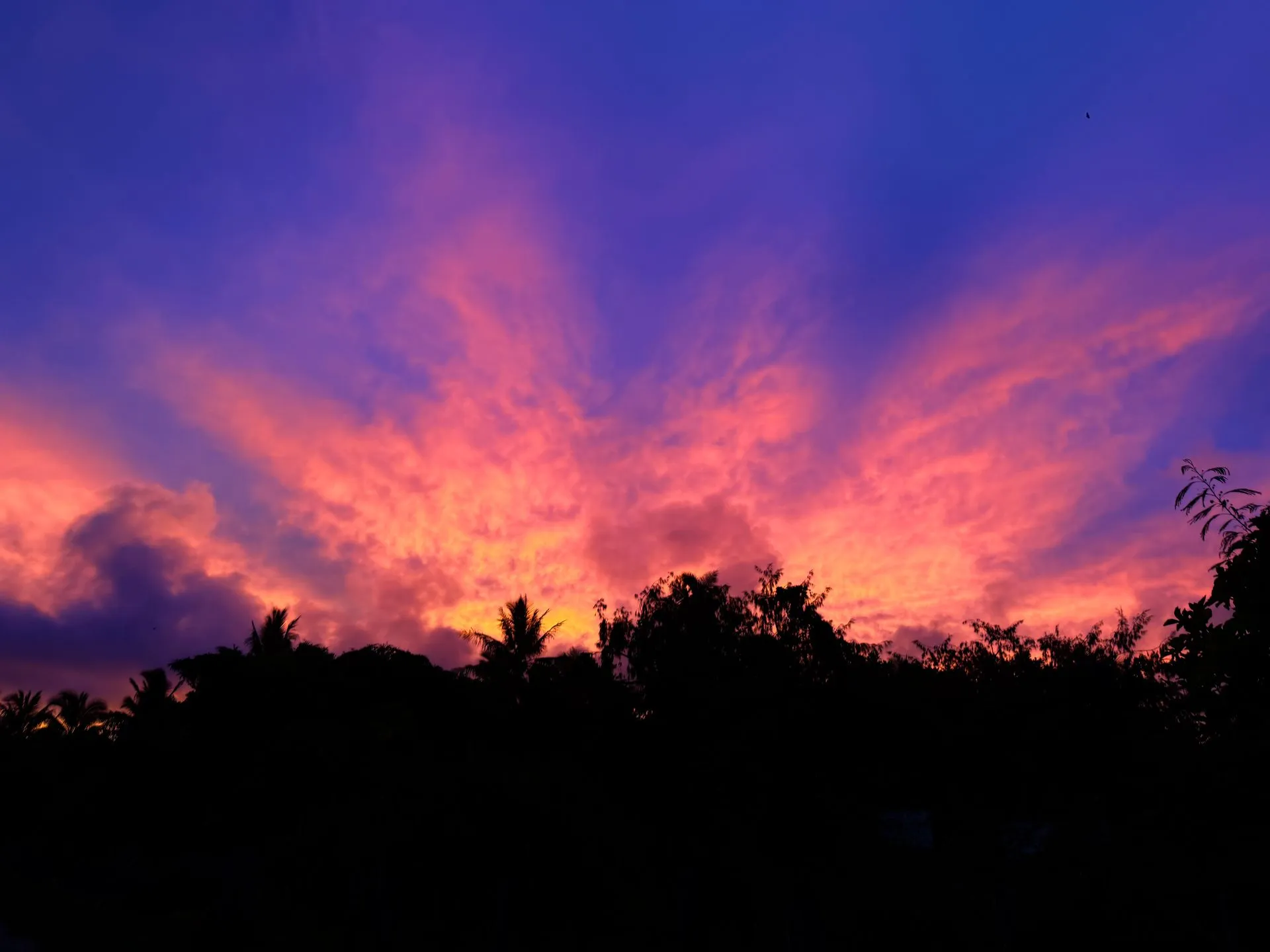 HA'APAI, TONGA - SPECIAL MOMENTS