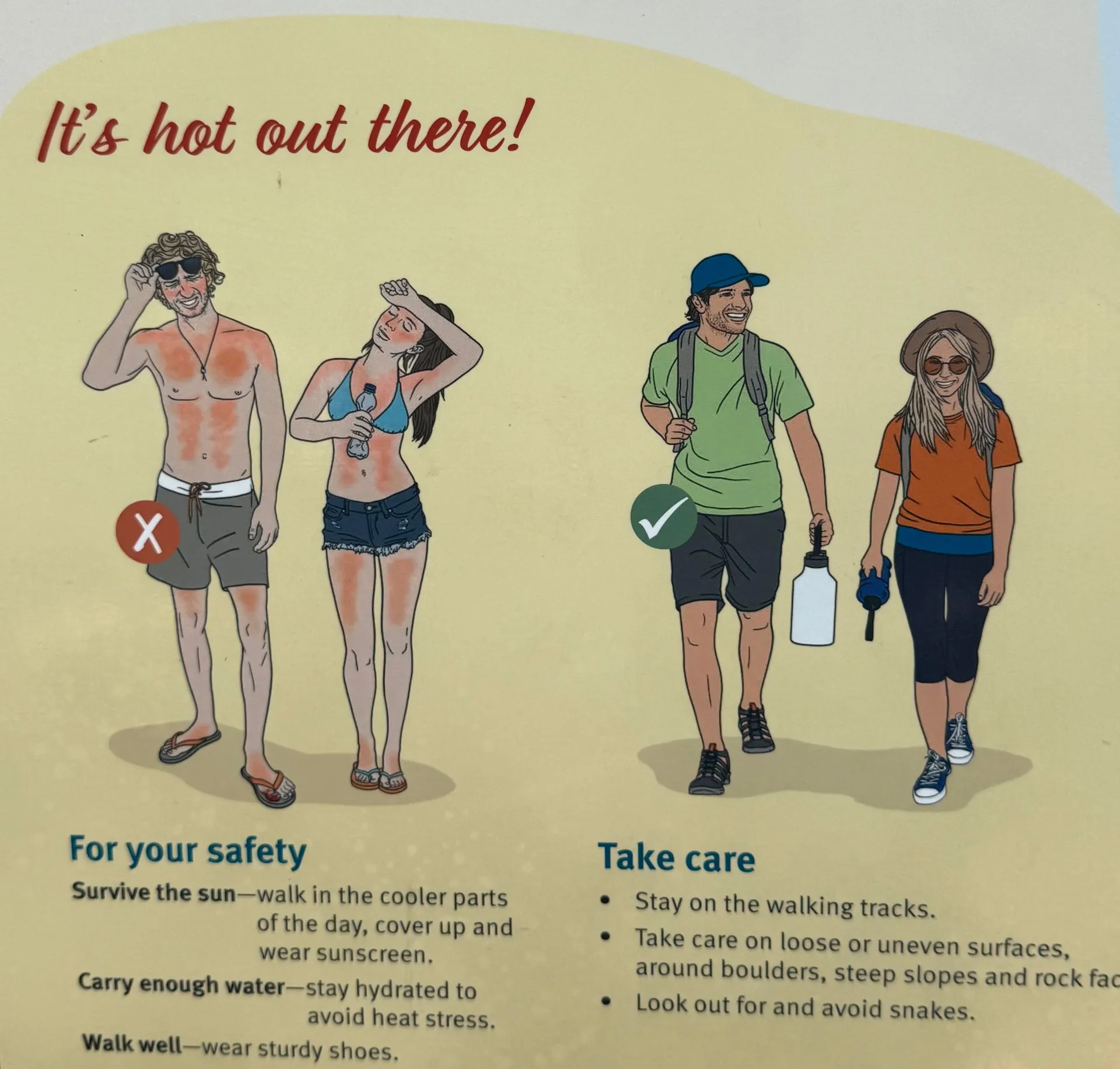 MAGNETIC ISLAND - KOALA'S