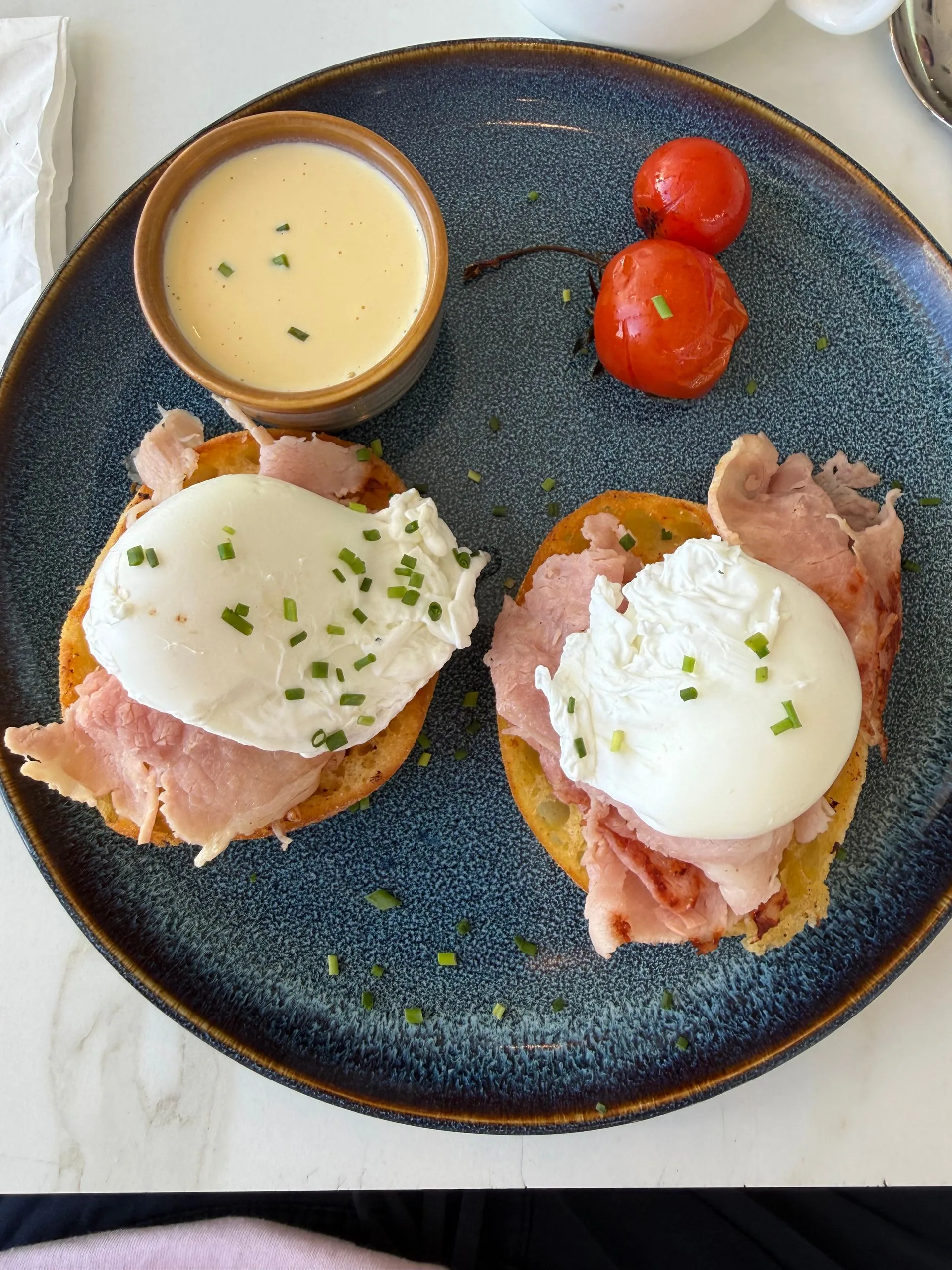 MAGNETIC ISLAND - KOALA'S