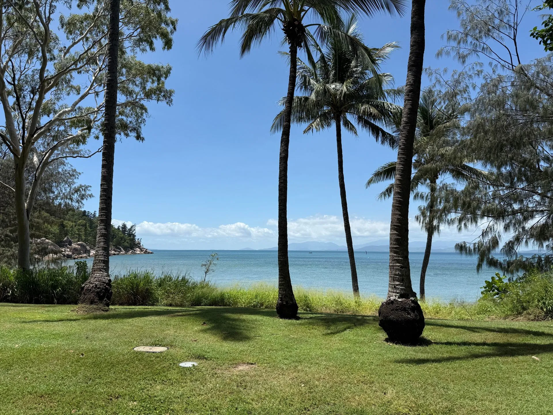 MAGNETIC ISLAND - KOALA'S