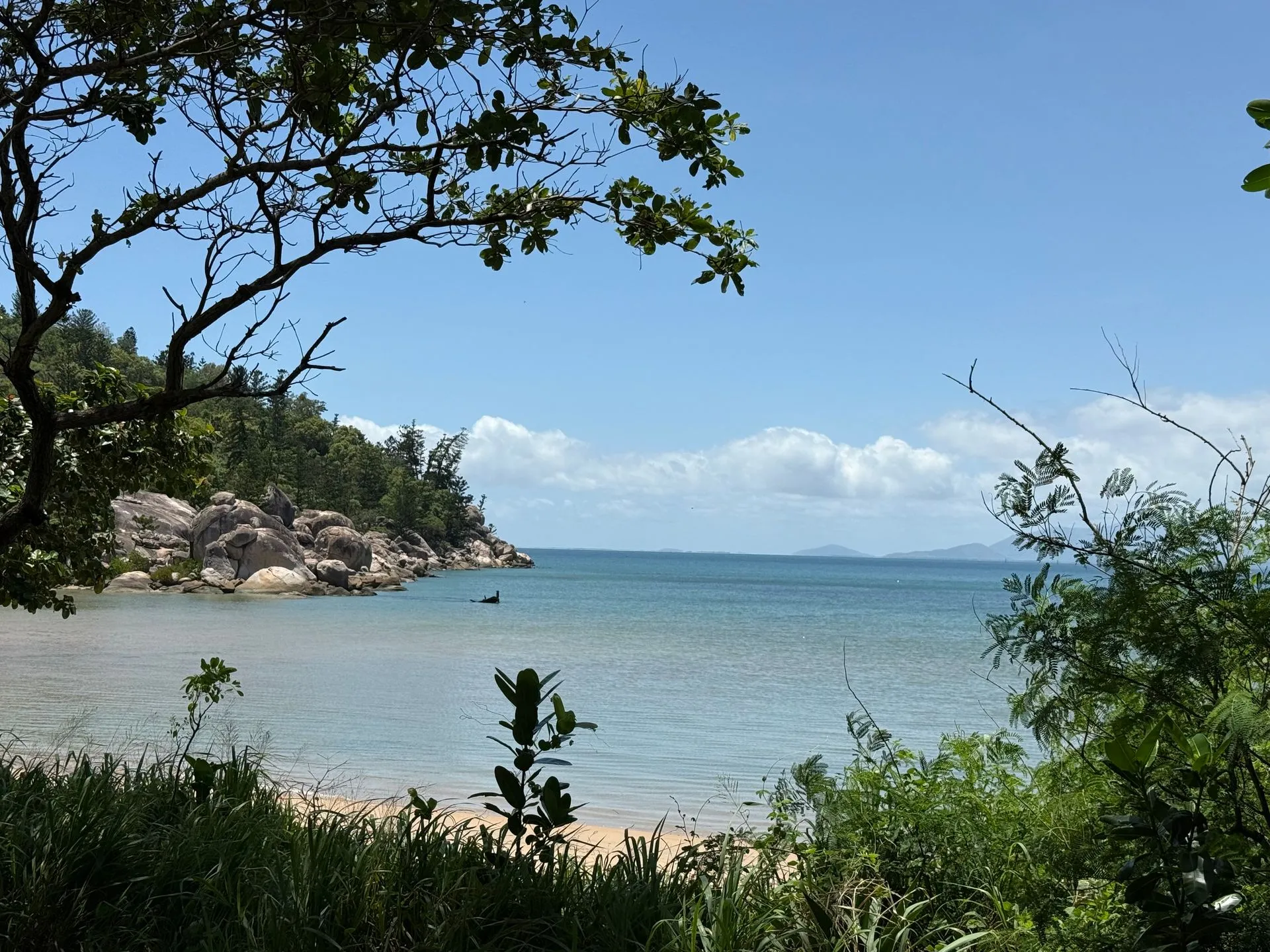 MAGNETIC ISLAND - KOALA'S