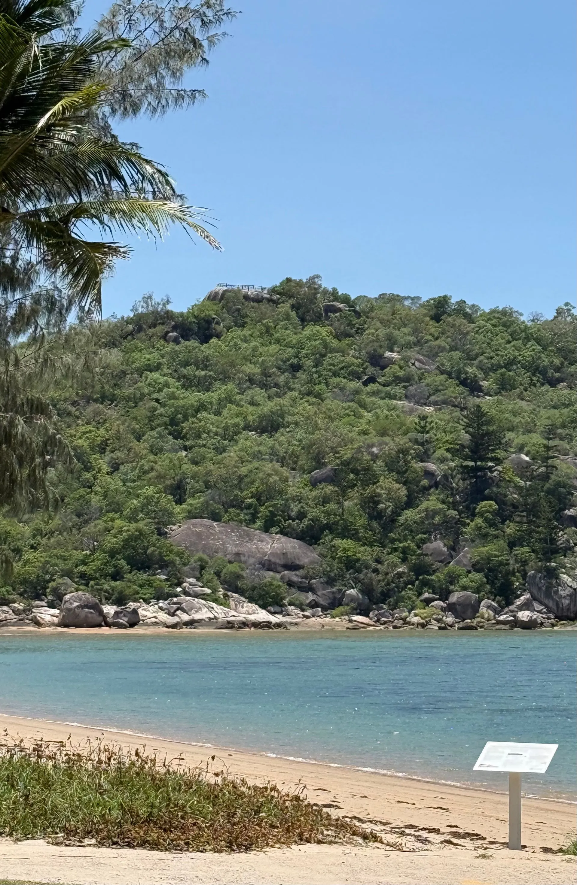 MAGNETIC ISLAND - KOALA'S
