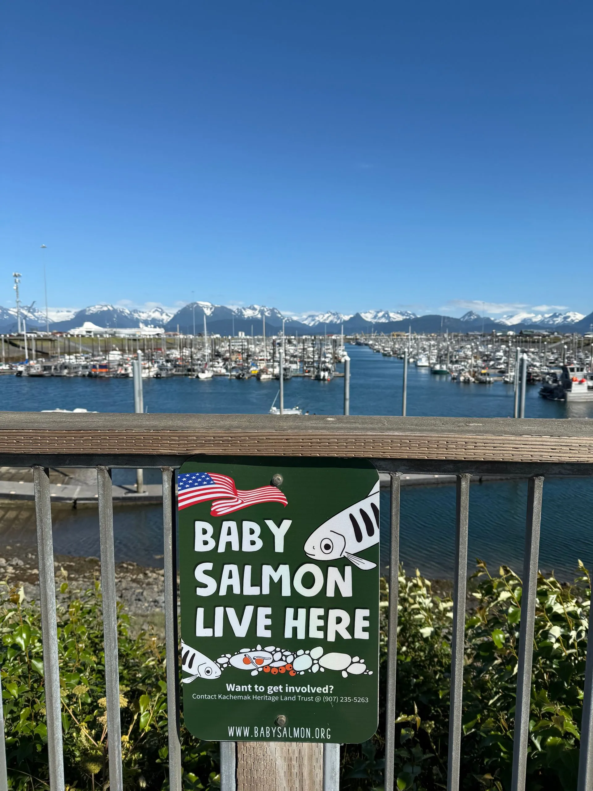 HOMER, ALASKA, USA - Day 2