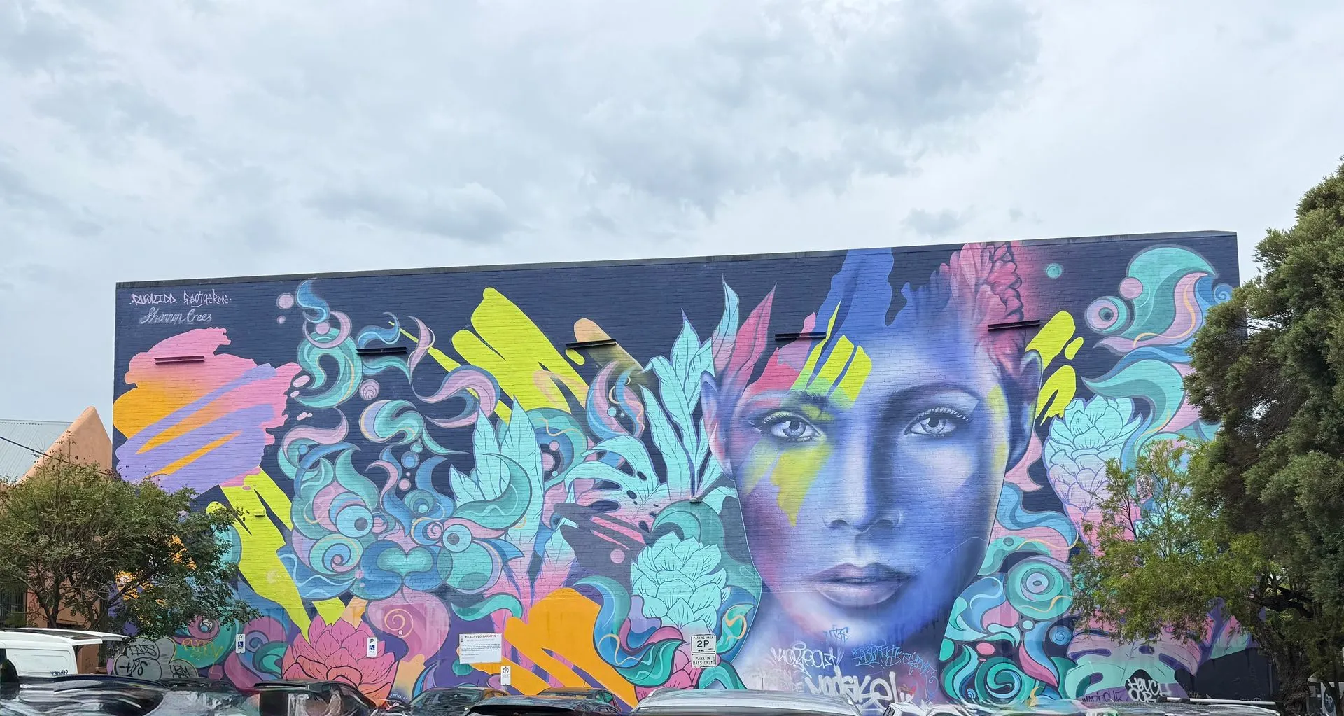 NEWTON SYDNEY, AUSTRALIA - Street Art & Food Tour