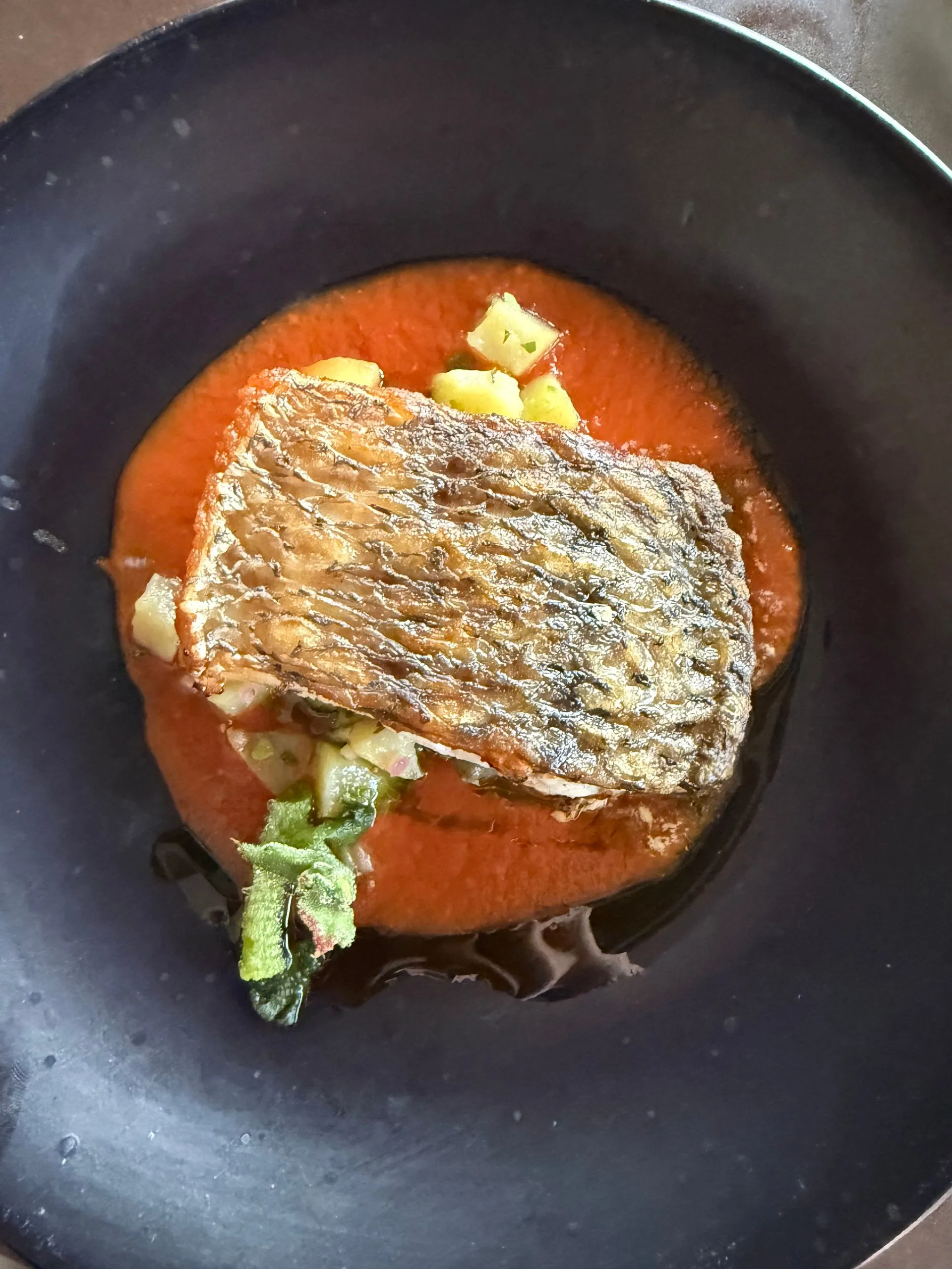 GATSBY AT SYDNEY OPERA HOUSE - AUSTRALIA