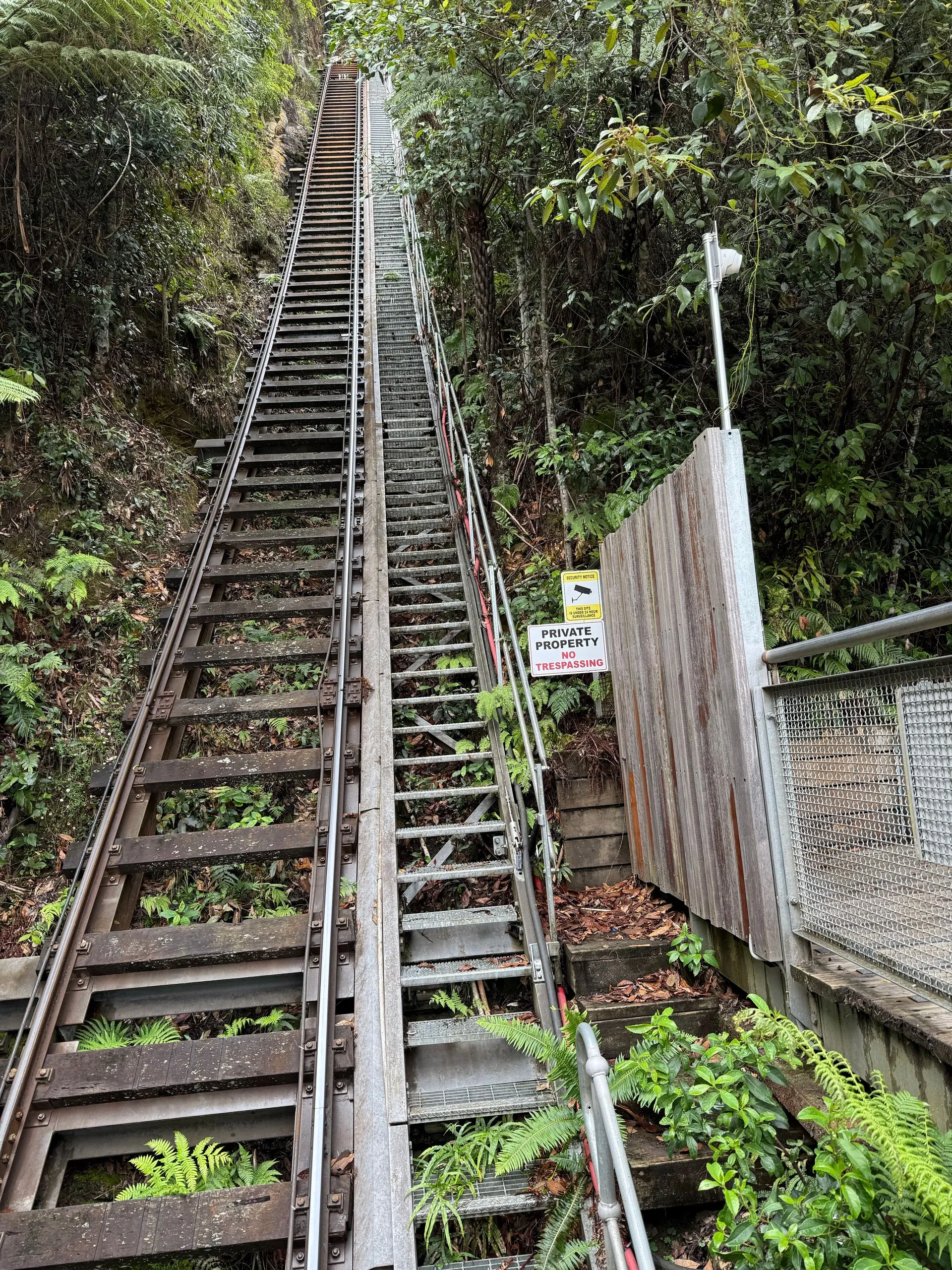 BLUE MOUNTAINS - AUSTRALIA