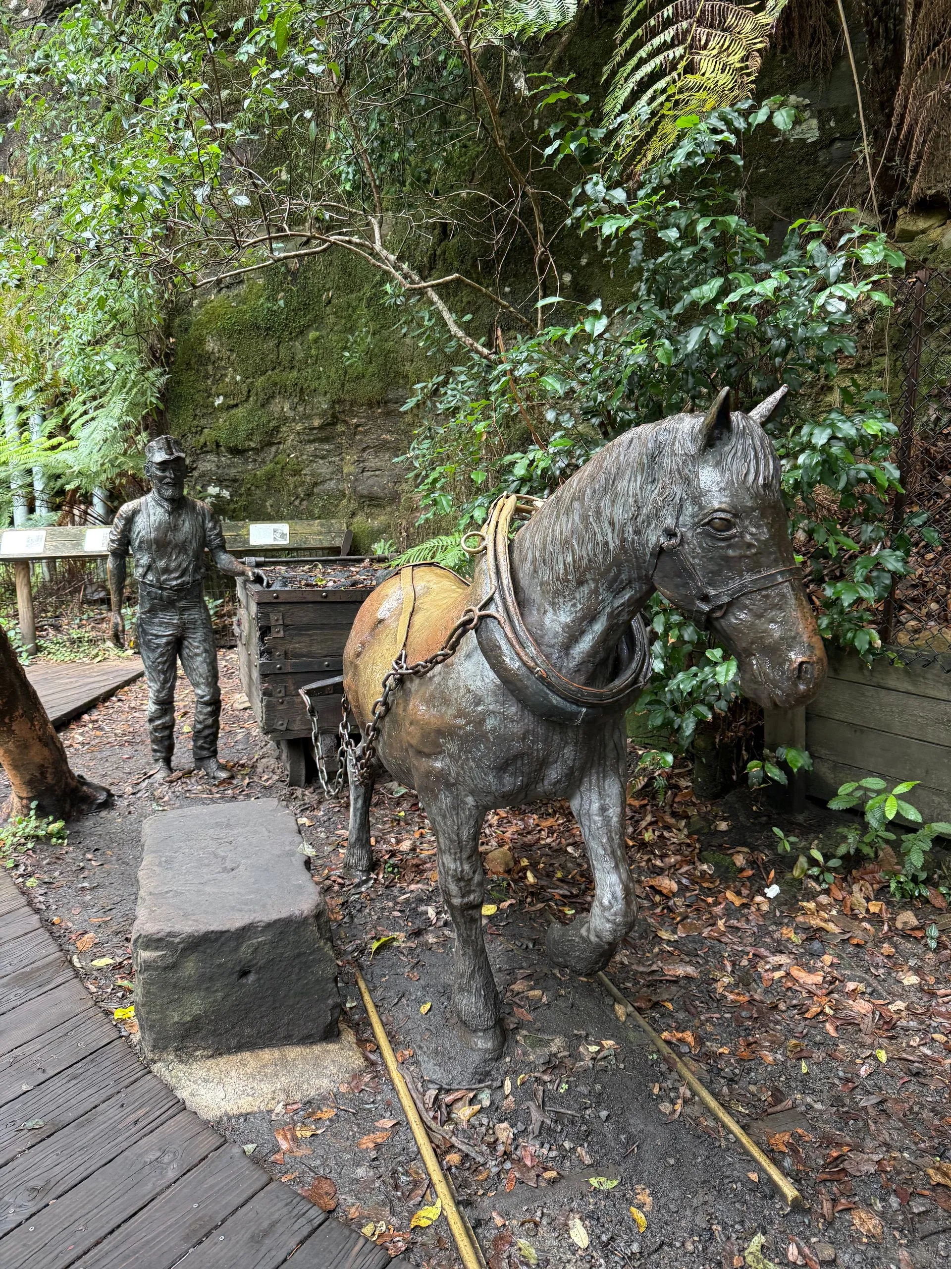 BLUE MOUNTAINS - AUSTRALIA