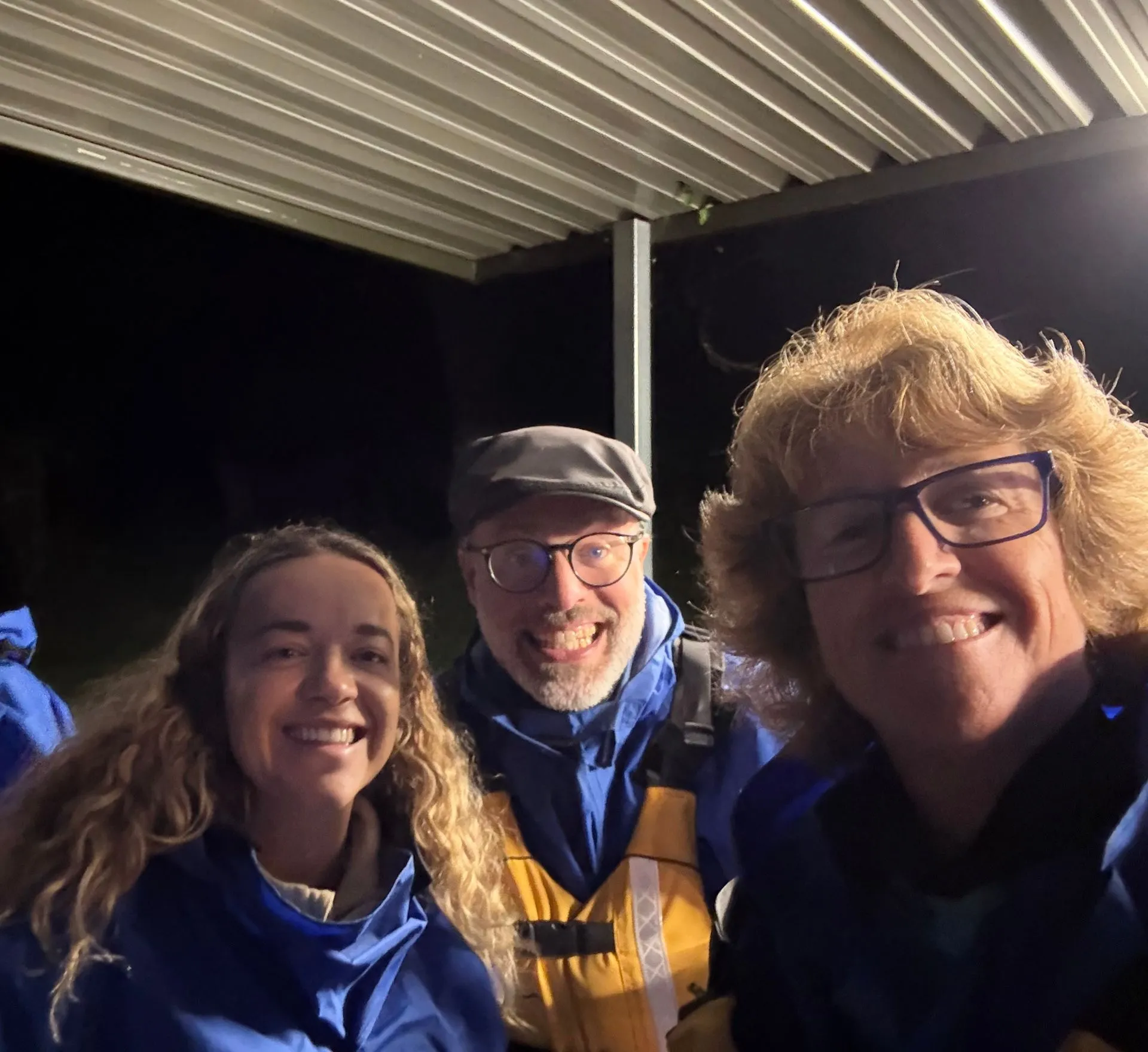 TAURANGA, NEW ZEALAND - GLOW WORMS
