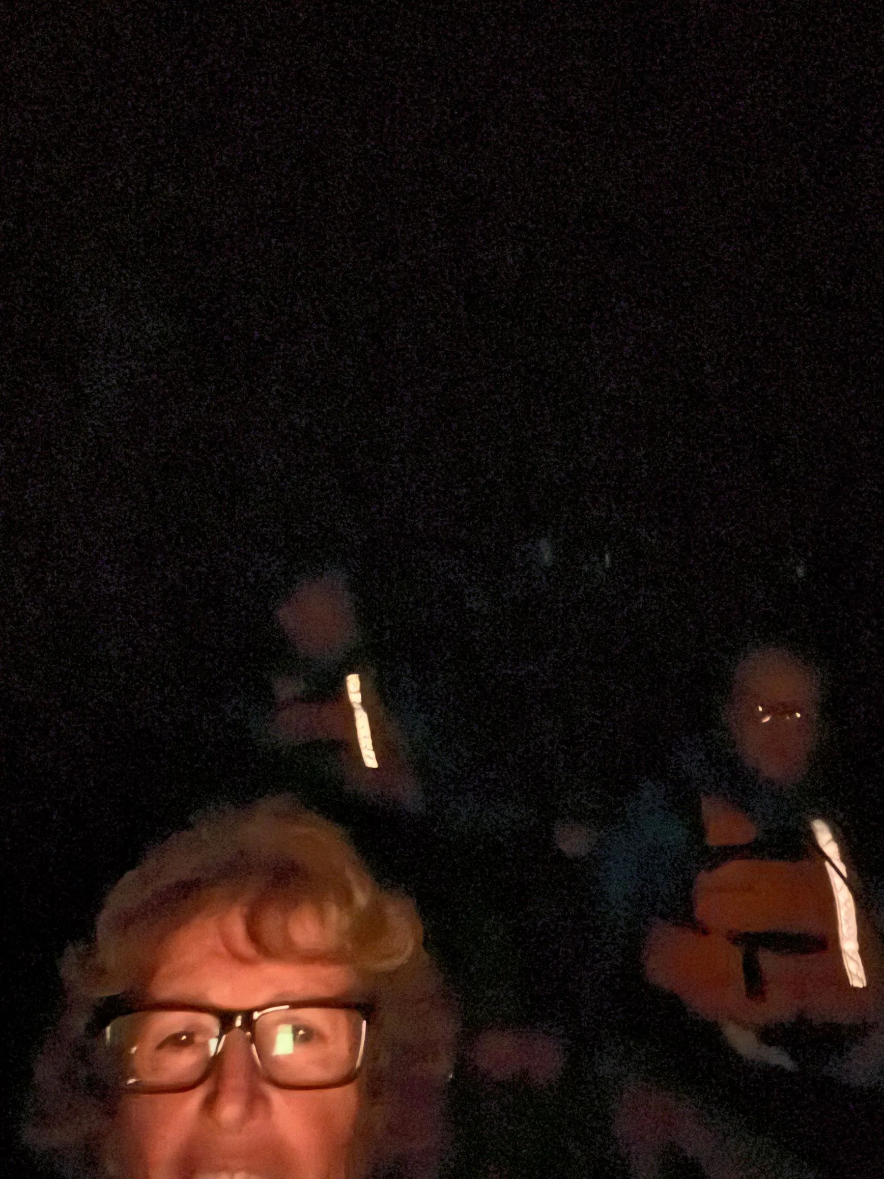 TAURANGA, NEW ZEALAND - GLOW WORMS