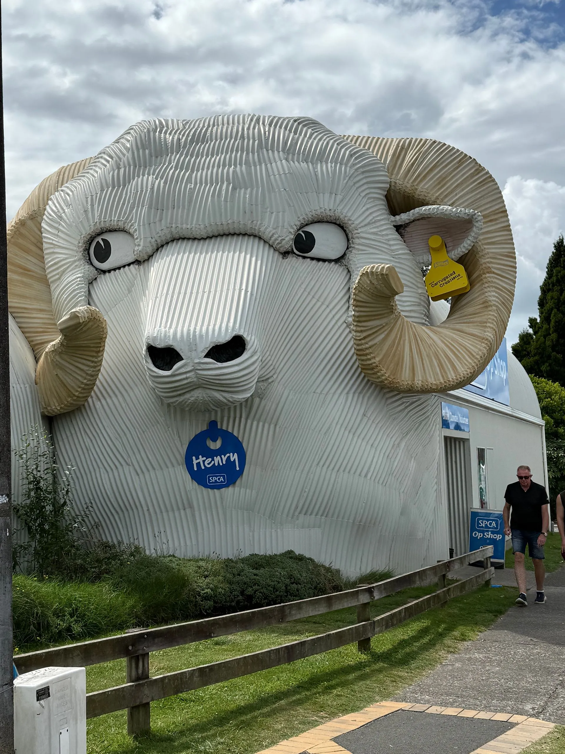 ALONG THE ROAD - TAURANGA  TO ROTORUA, NEW ZEALAND