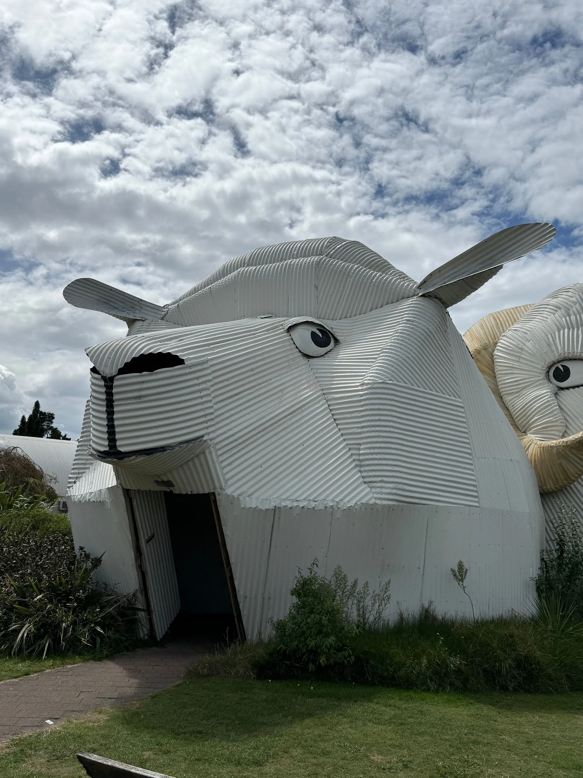 ALONG THE ROAD - TAURANGA  TO ROTORUA, NEW ZEALAND