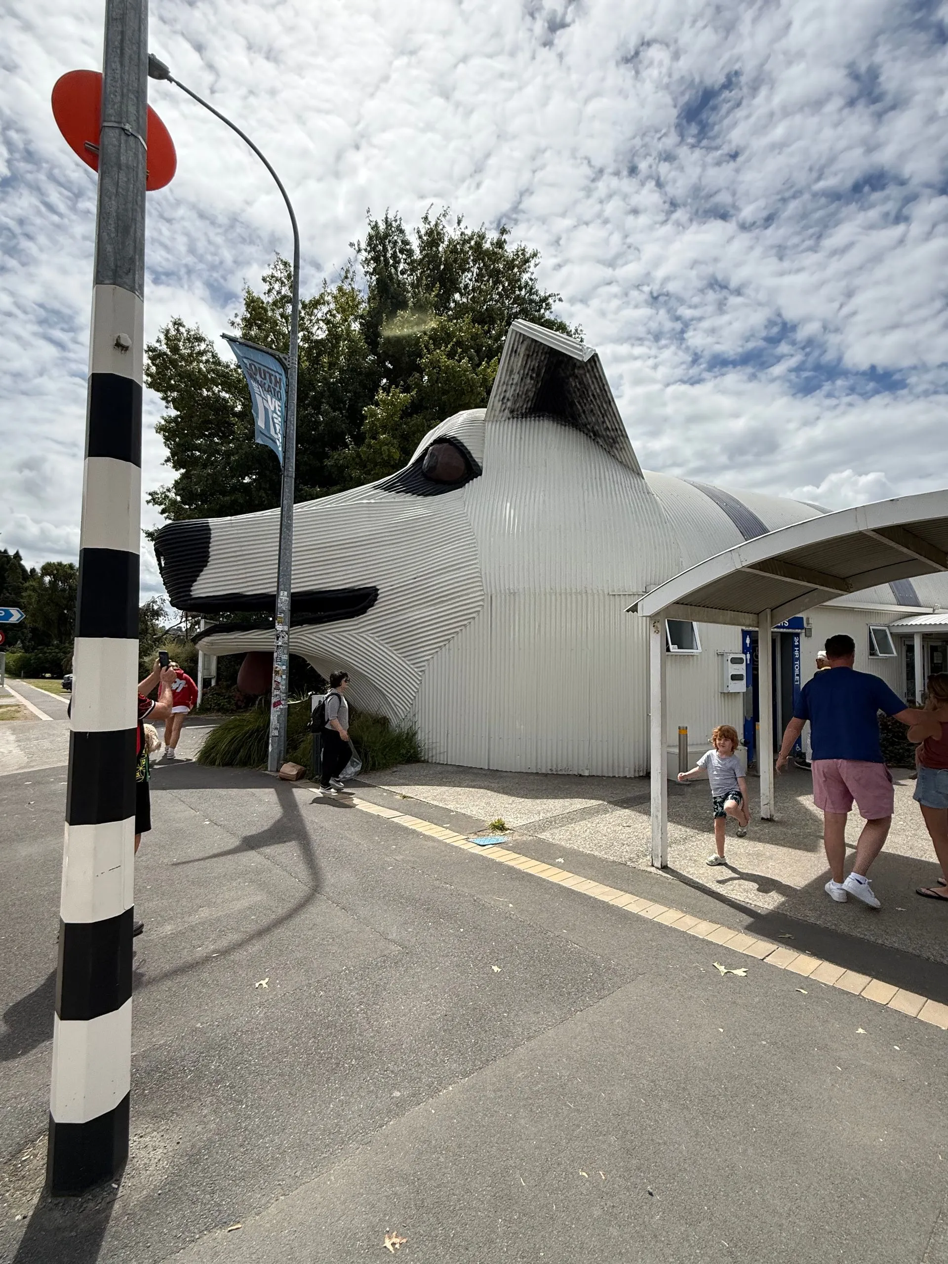 ALONG THE ROAD - TAURANGA  TO ROTORUA, NEW ZEALAND