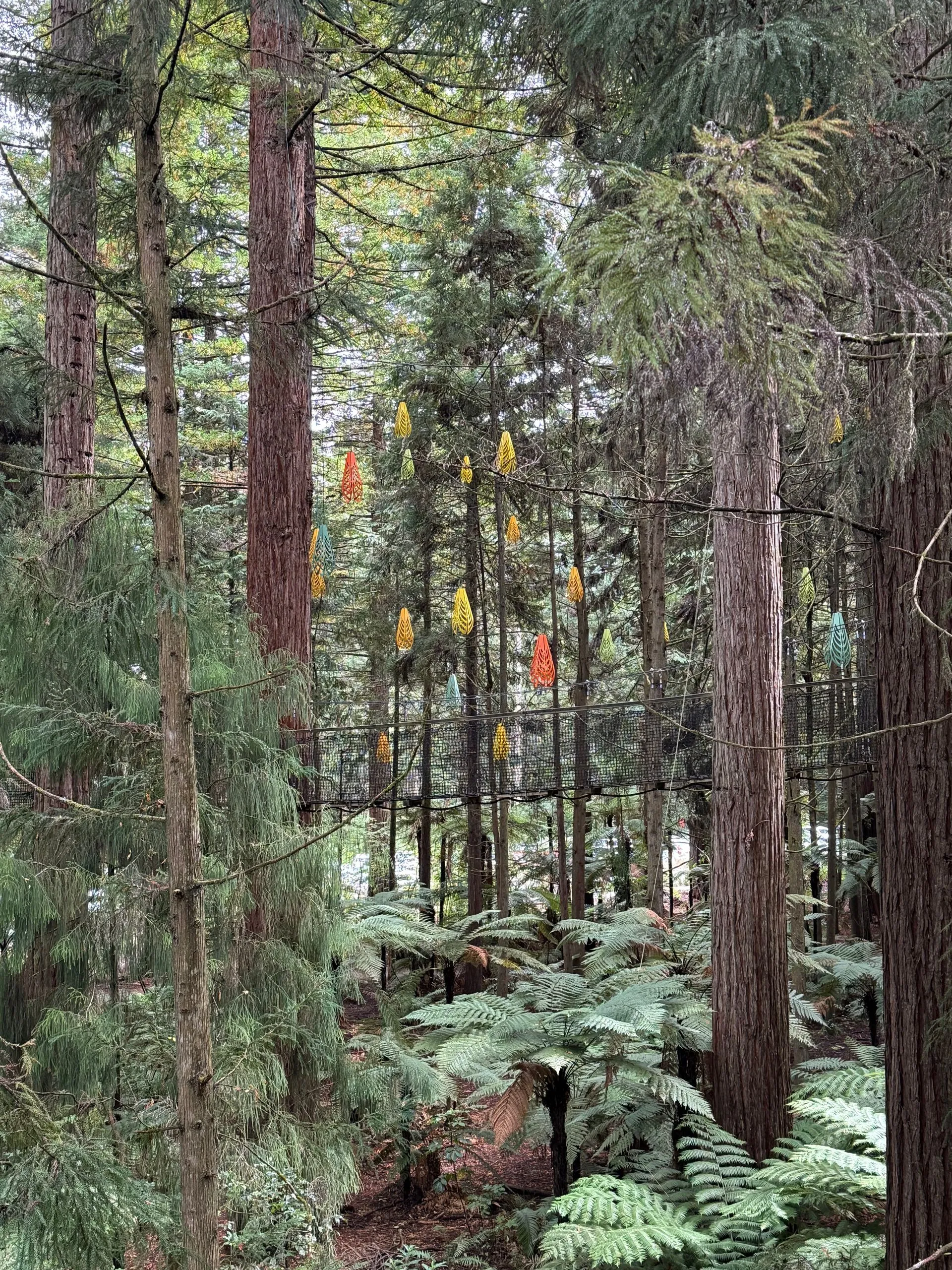 ROTORUA, NEW ZEALAND
