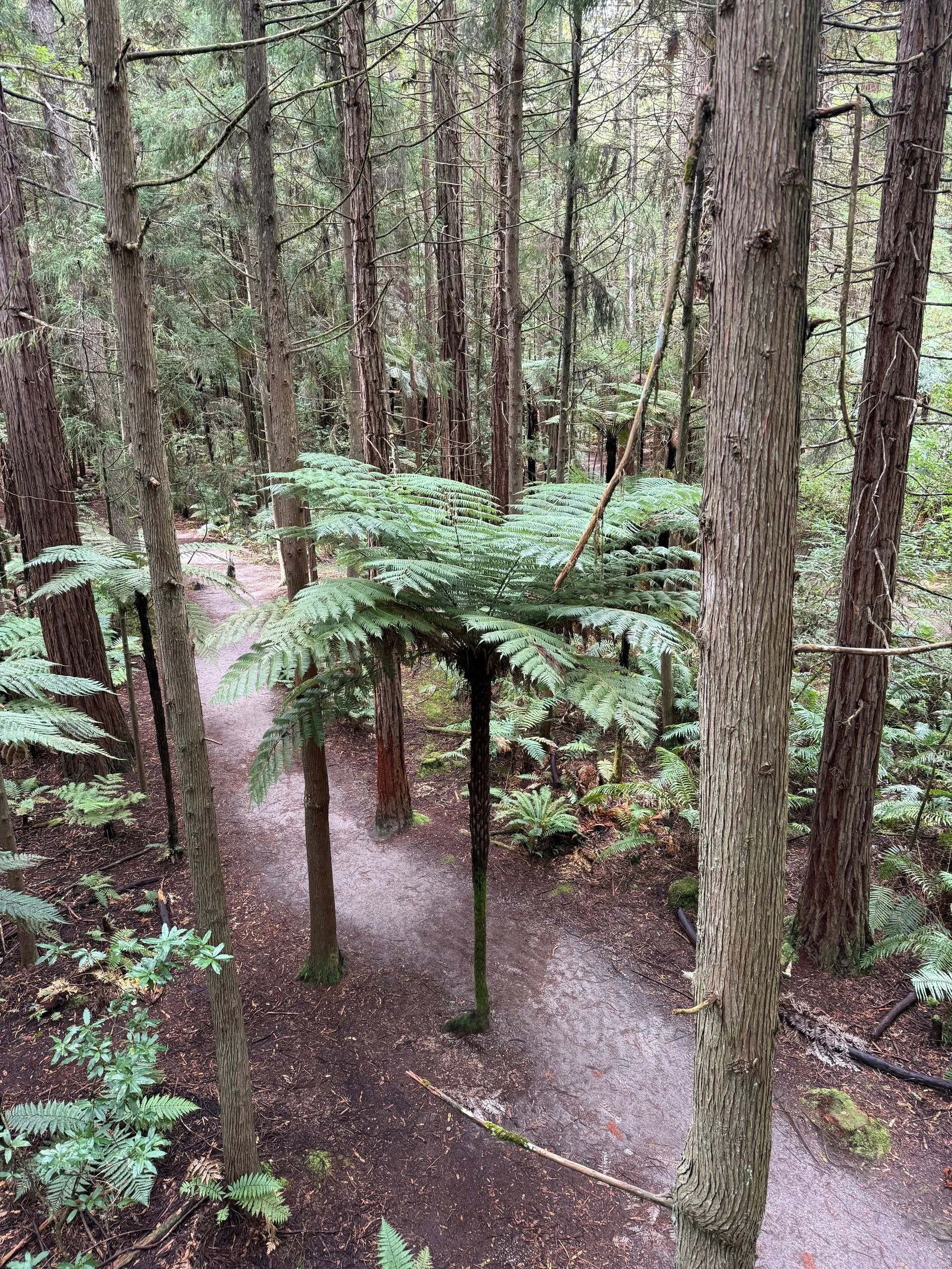 ROTORUA, NEW ZEALAND