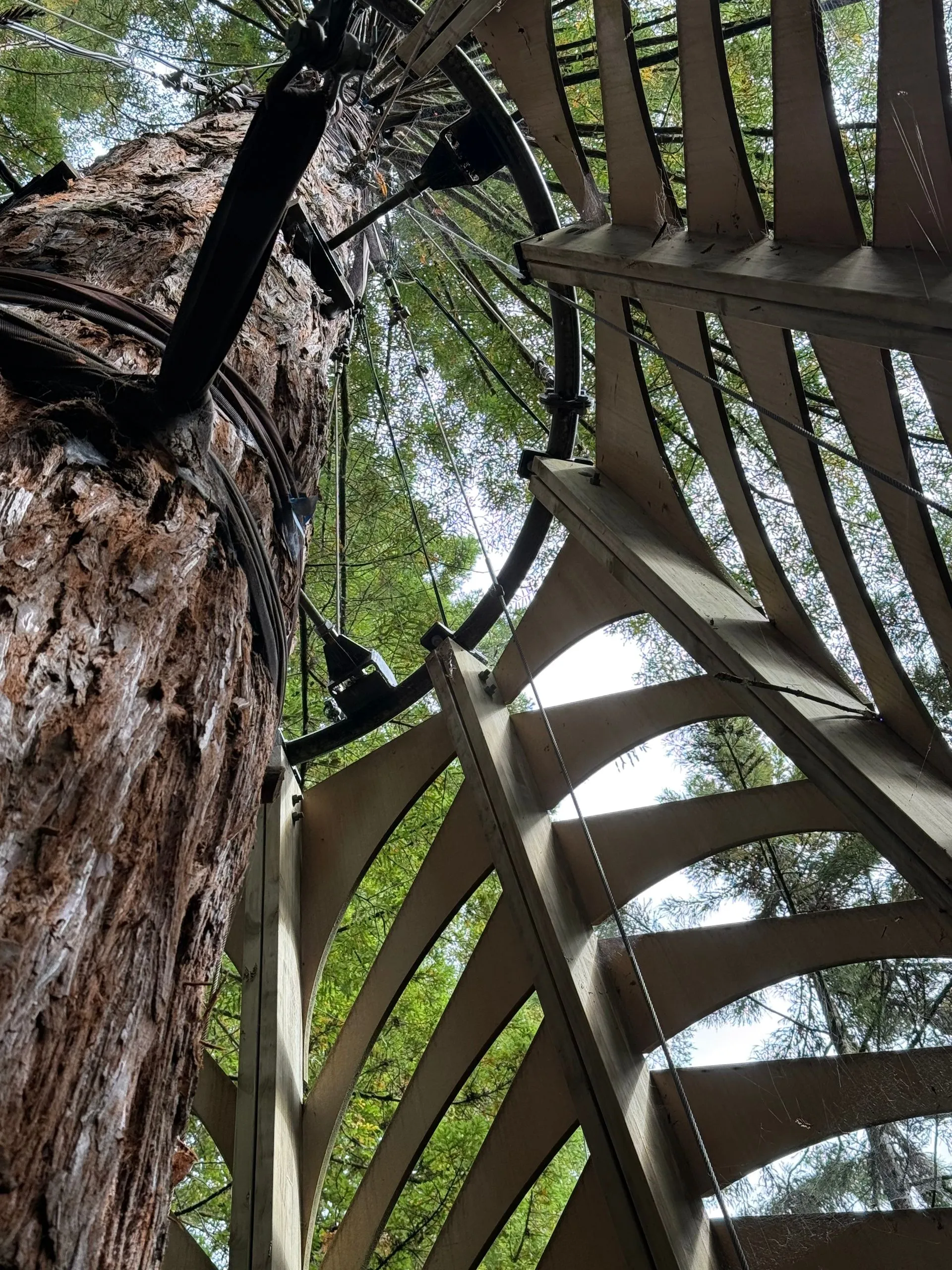 ROTORUA, NEW ZEALAND