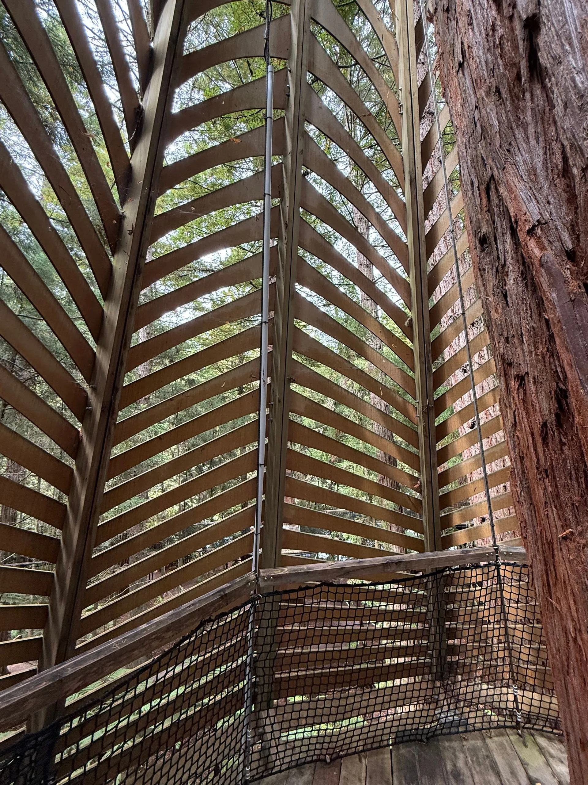 ROTORUA, NEW ZEALAND