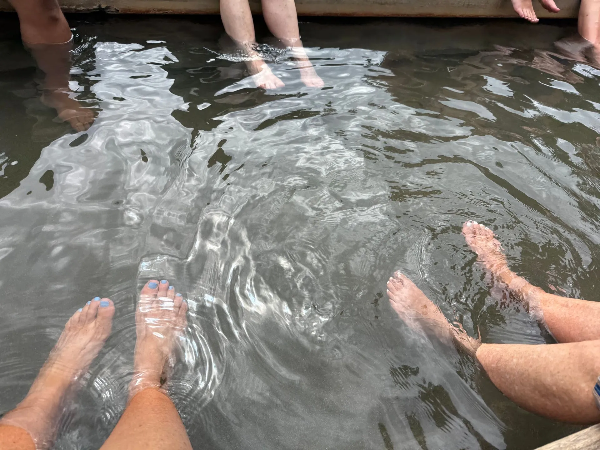 ROTORUA CITY HIGHLIGHTS - NEW ZEALAND