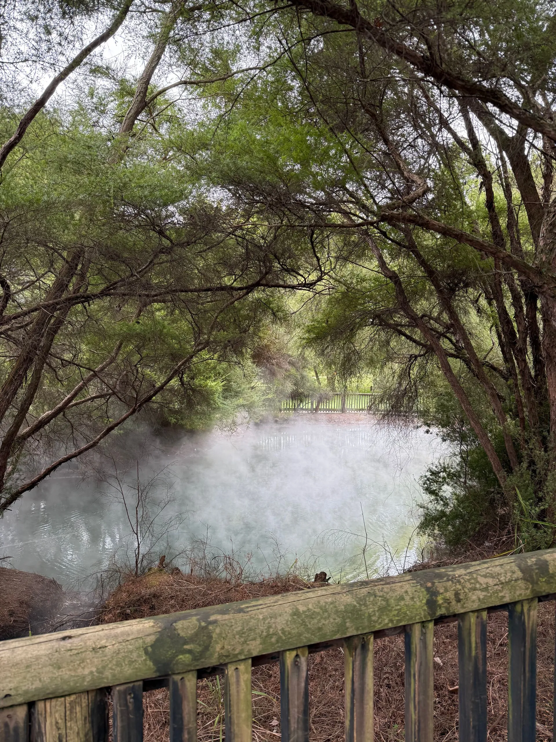 ROTORUA CITY HIGHLIGHTS - NEW ZEALAND