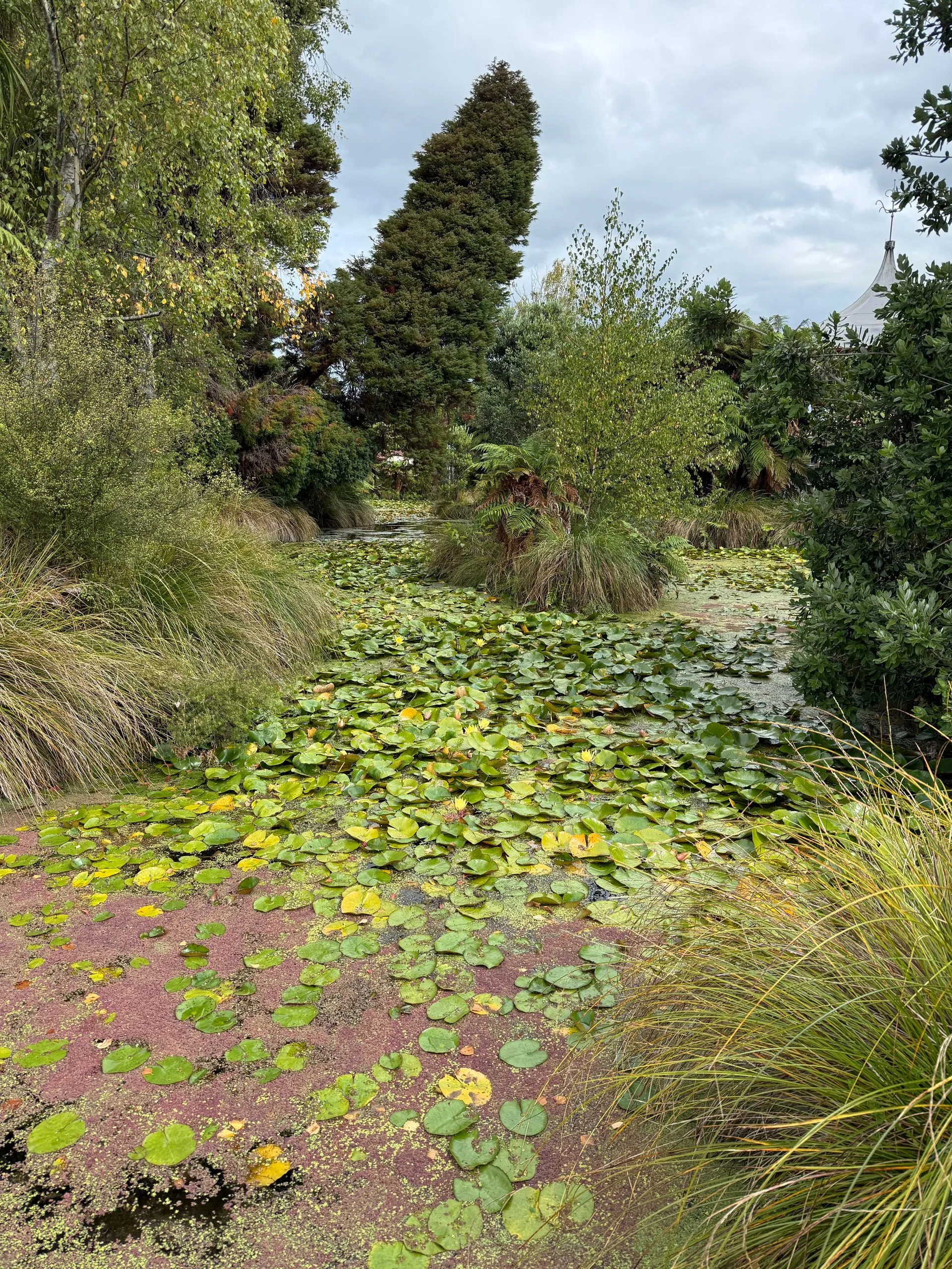 ROTORUA CITY HIGHLIGHTS - NEW ZEALAND