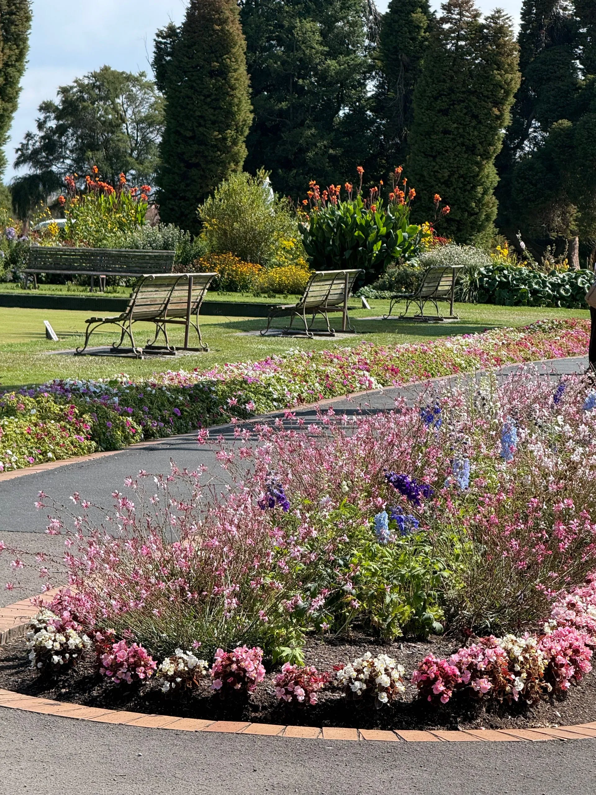 ROTORUA CITY HIGHLIGHTS - NEW ZEALAND