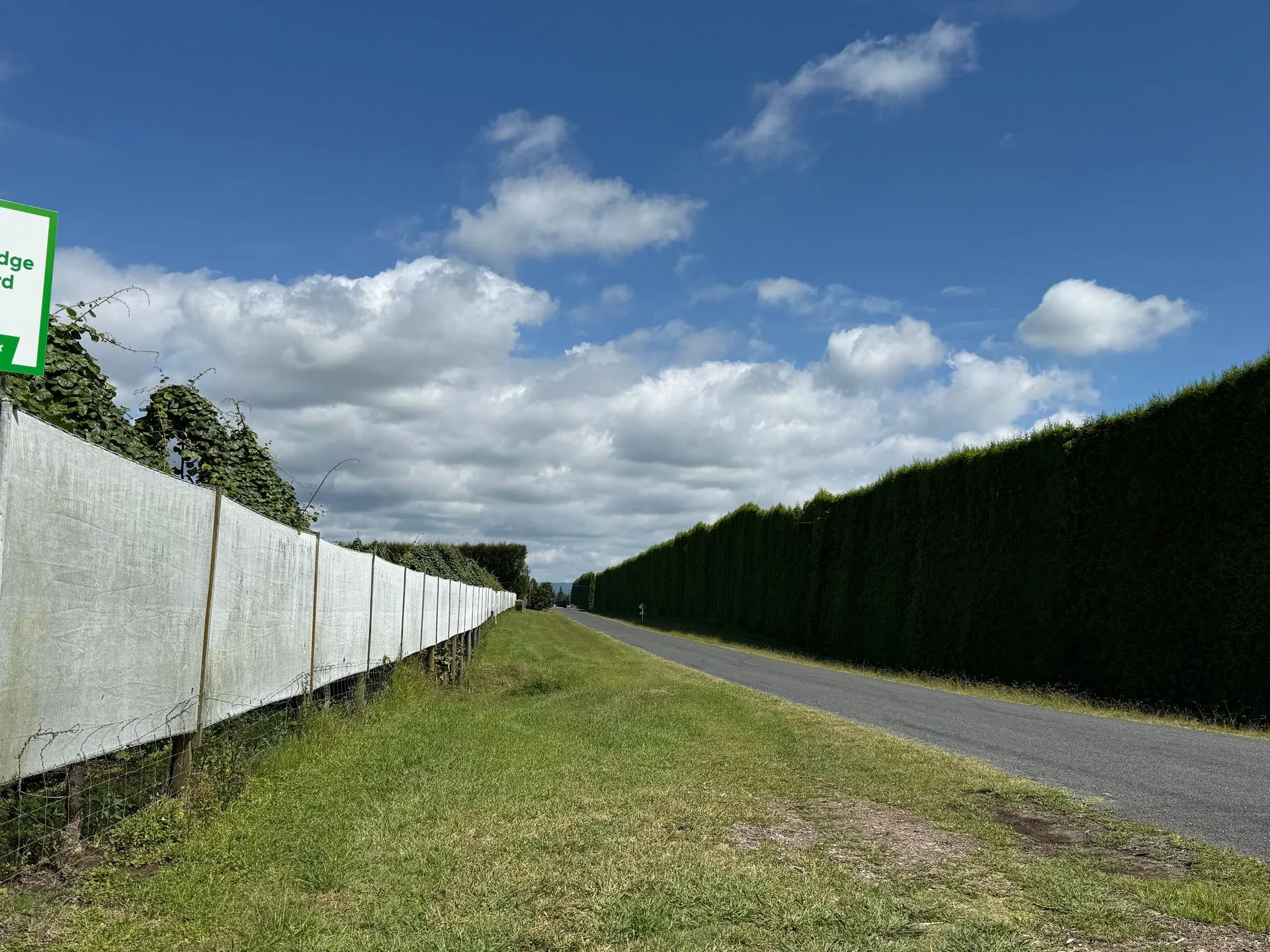 ALONG THE ROAD - TAURANGA  TO ROTORUA, NEW ZEALAND
