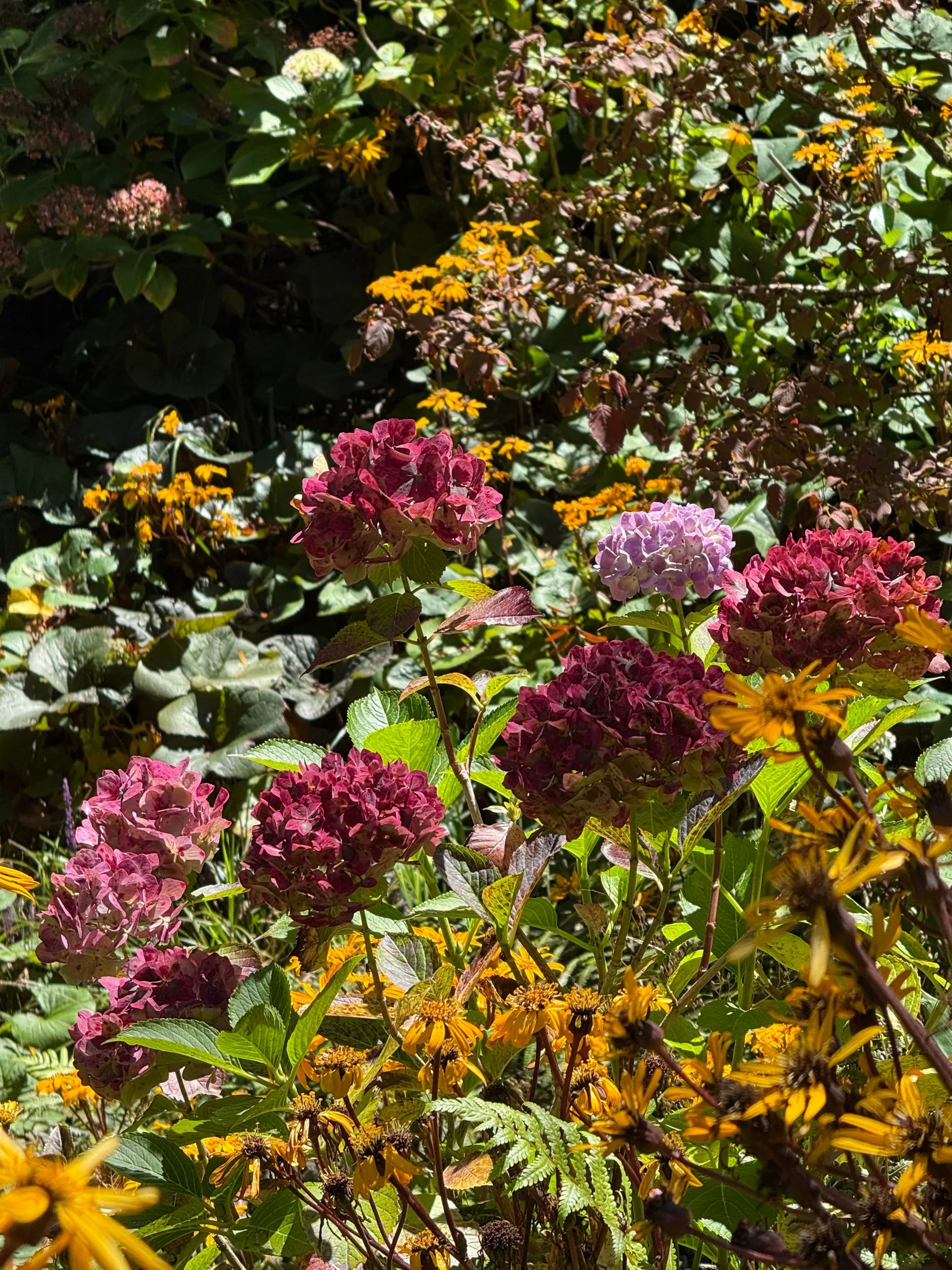 WELLINGTON, NEW ZEALAND