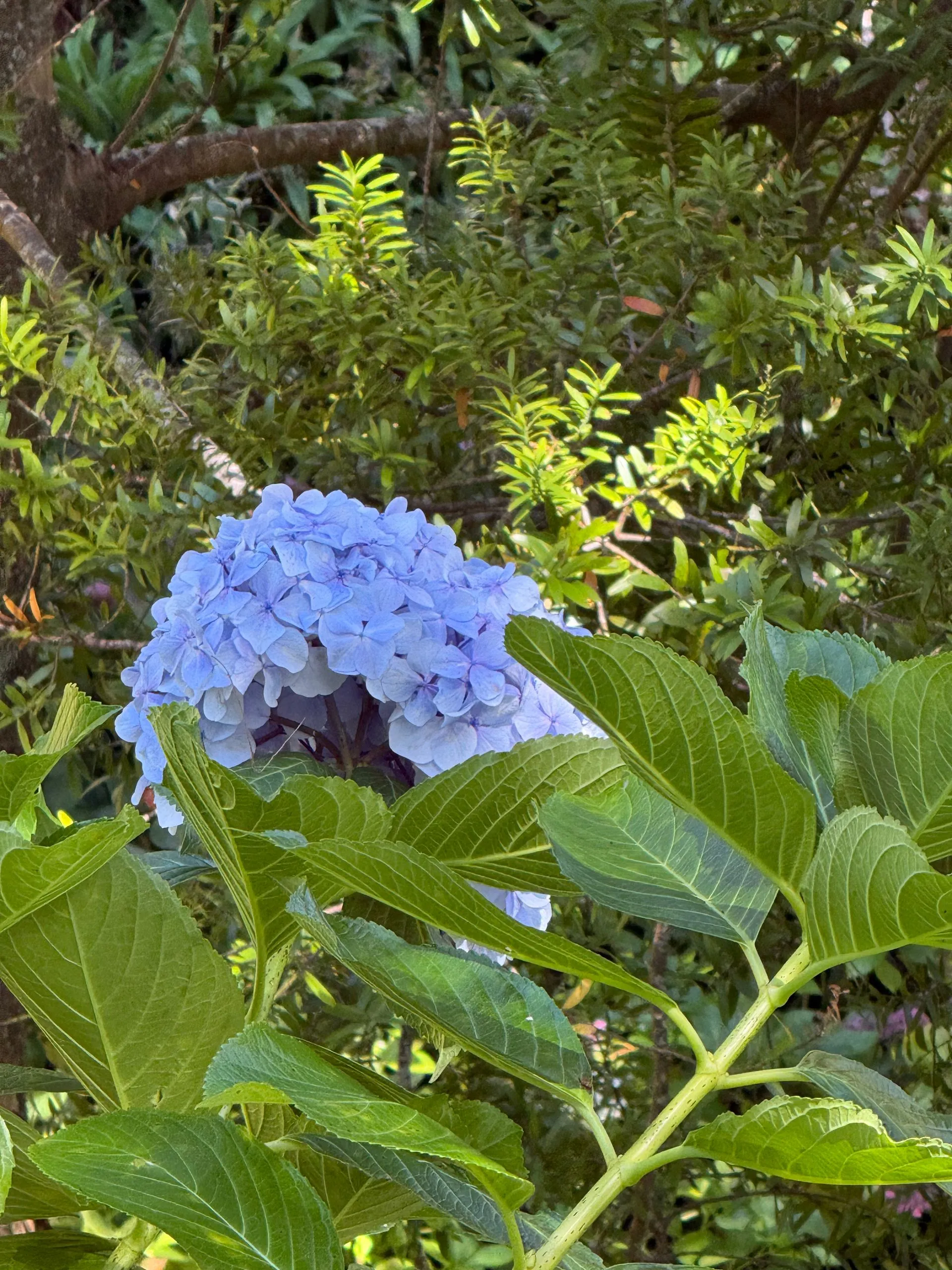WELLINGTON, NEW ZEALAND