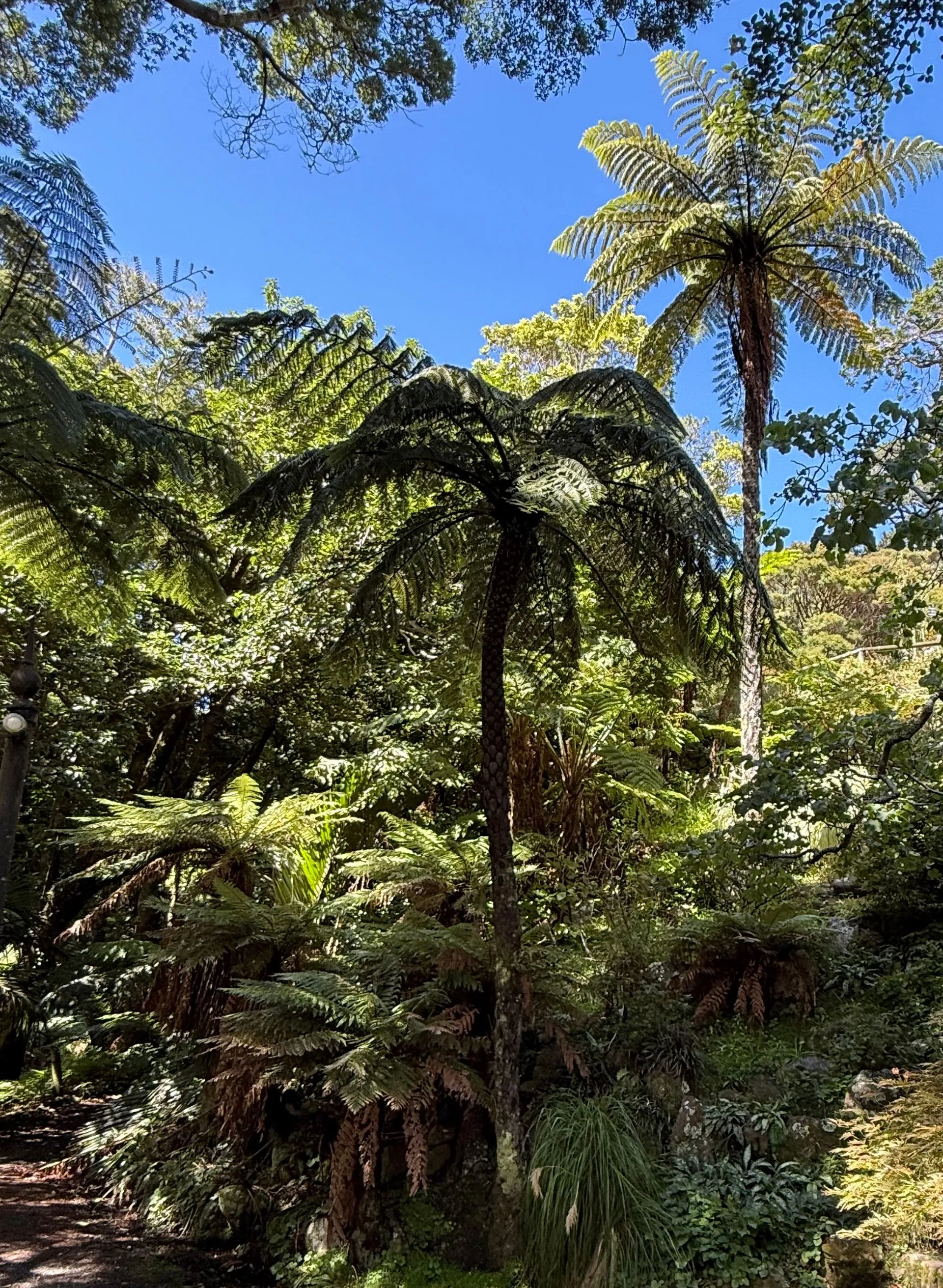 WELLINGTON, NEW ZEALAND