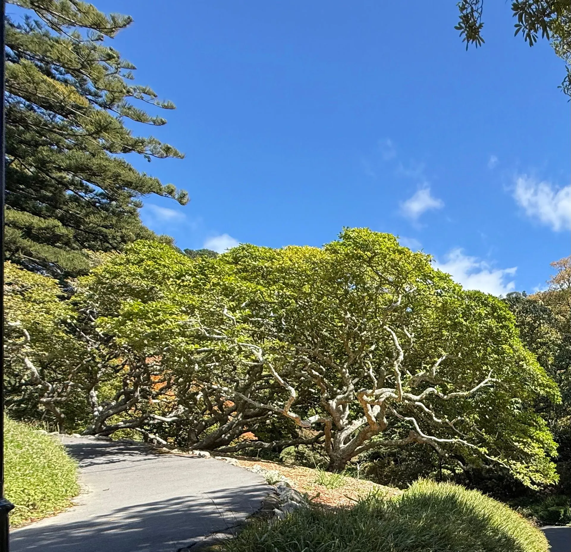 WELLINGTON, NEW ZEALAND